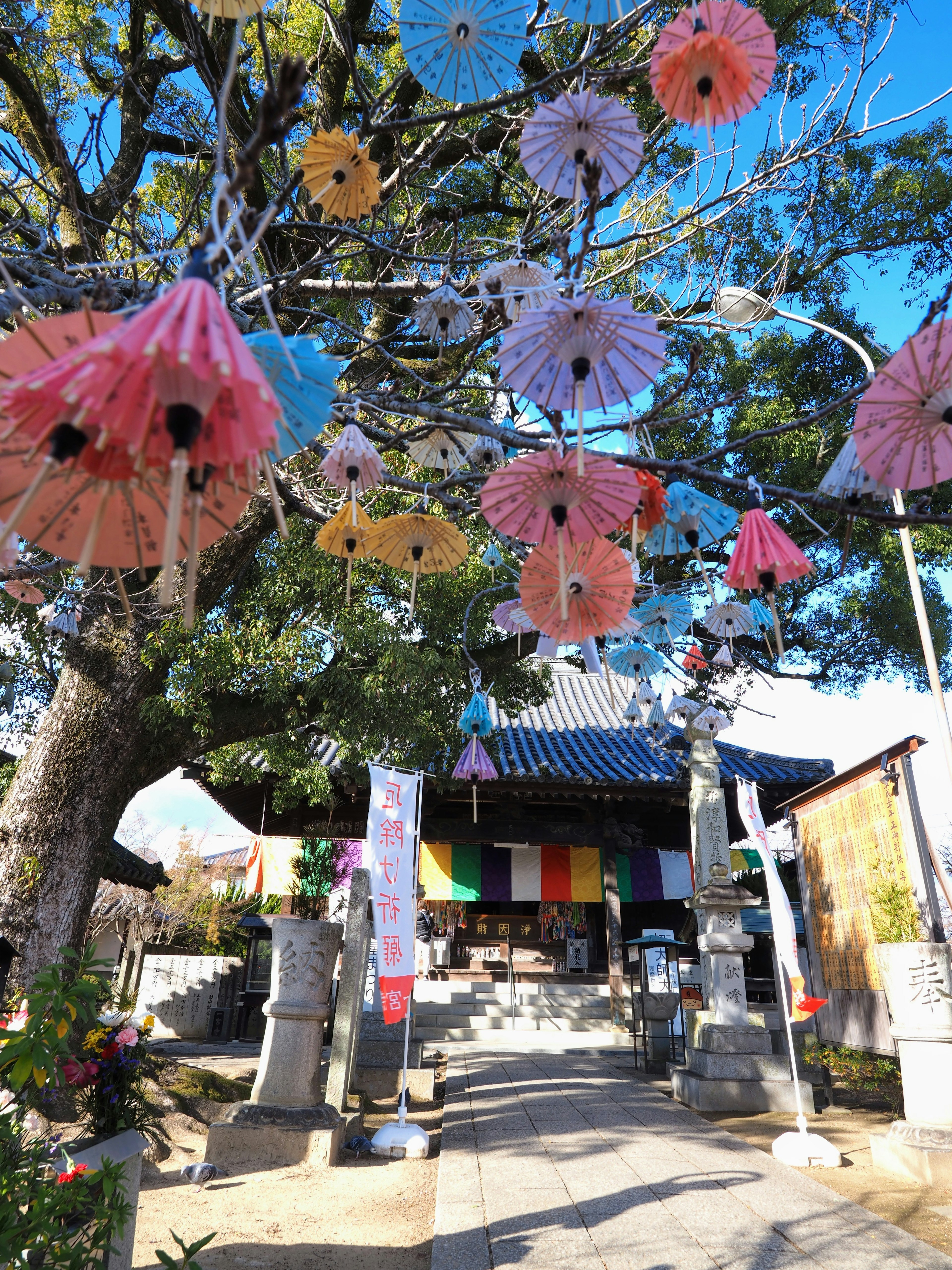 Scenic view of a shrine entrance adorned with colorful lanterns