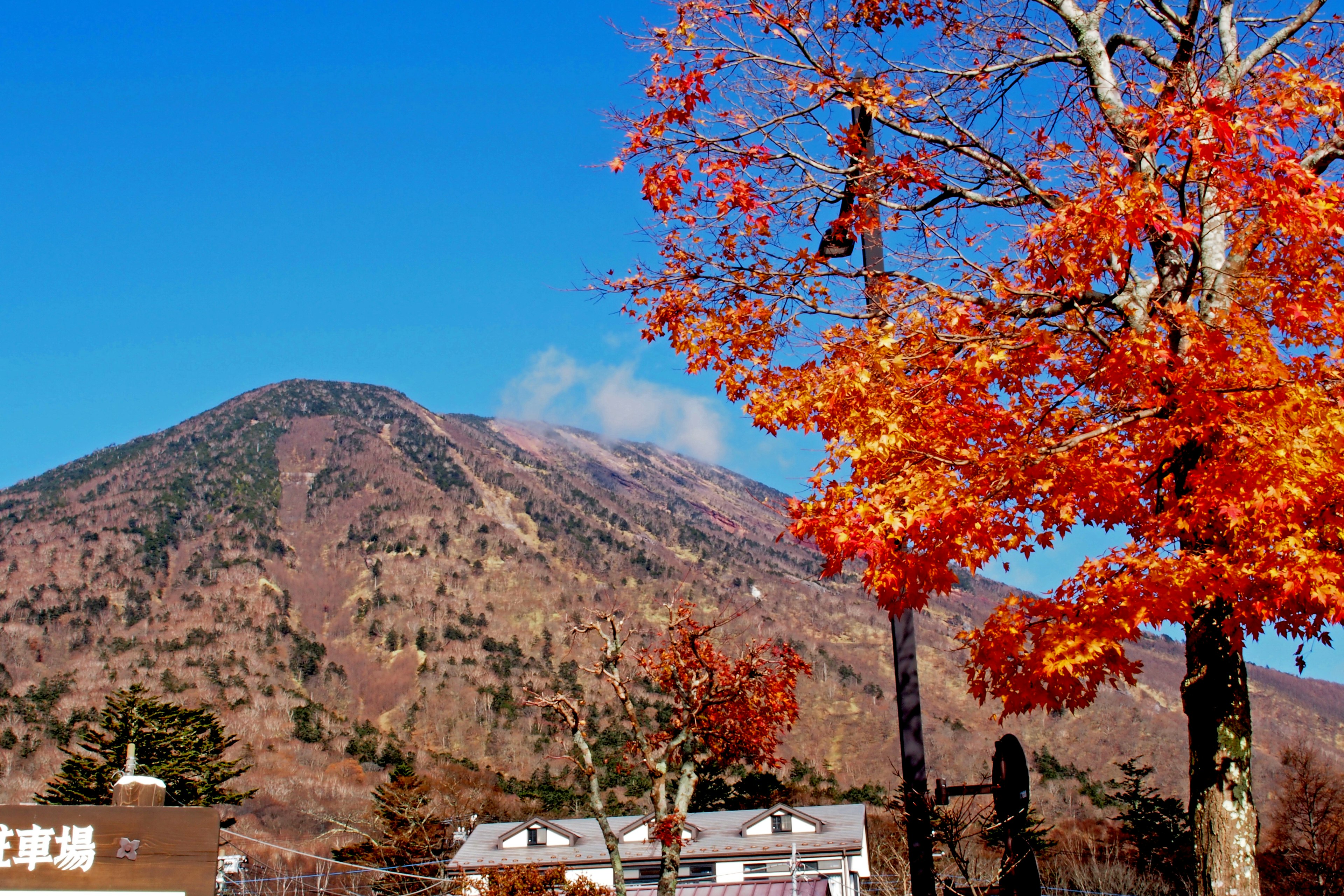 美しい秋の紅葉と山の風景