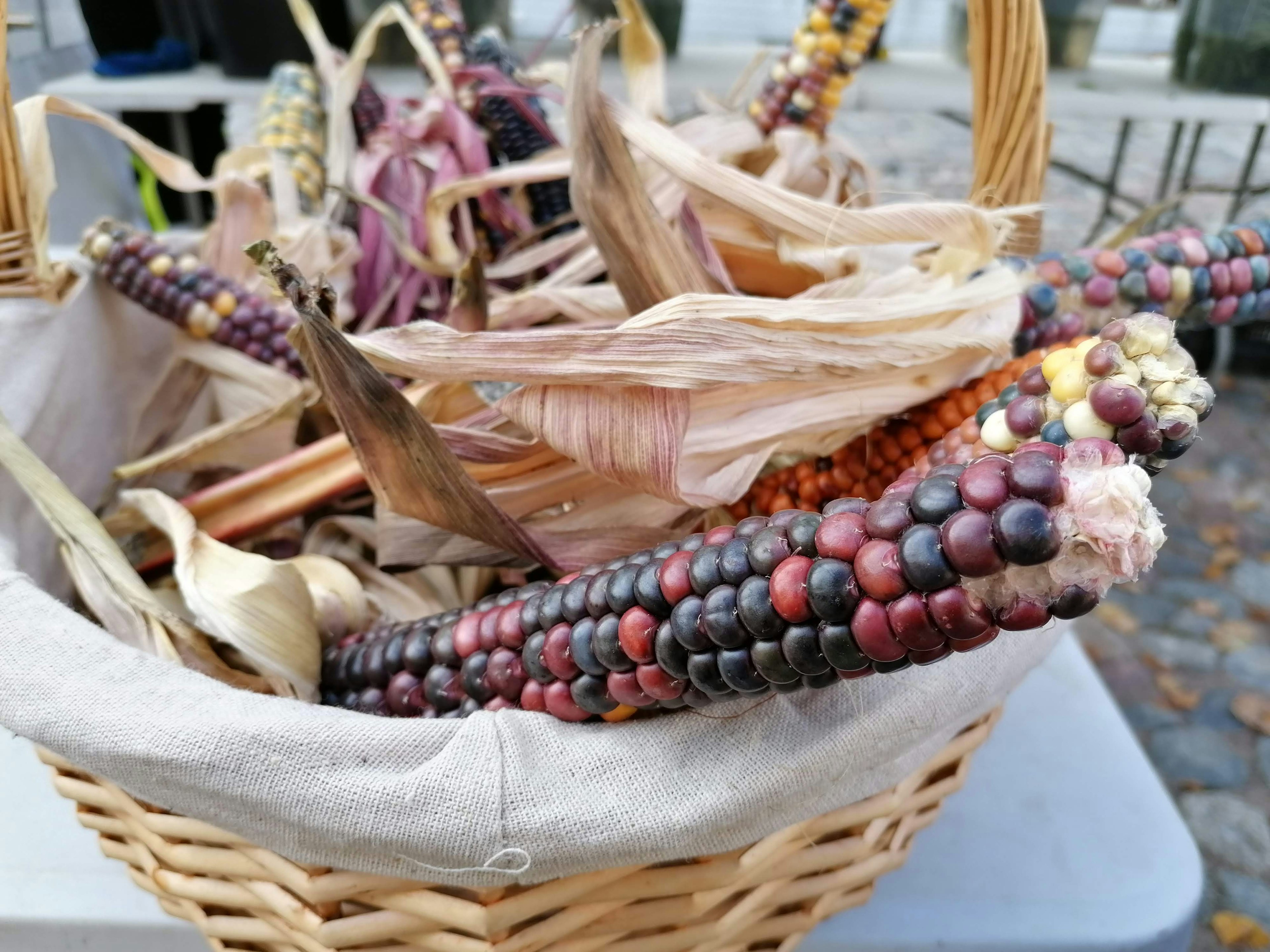 Close-up of a basket filled with colorful corn cobs