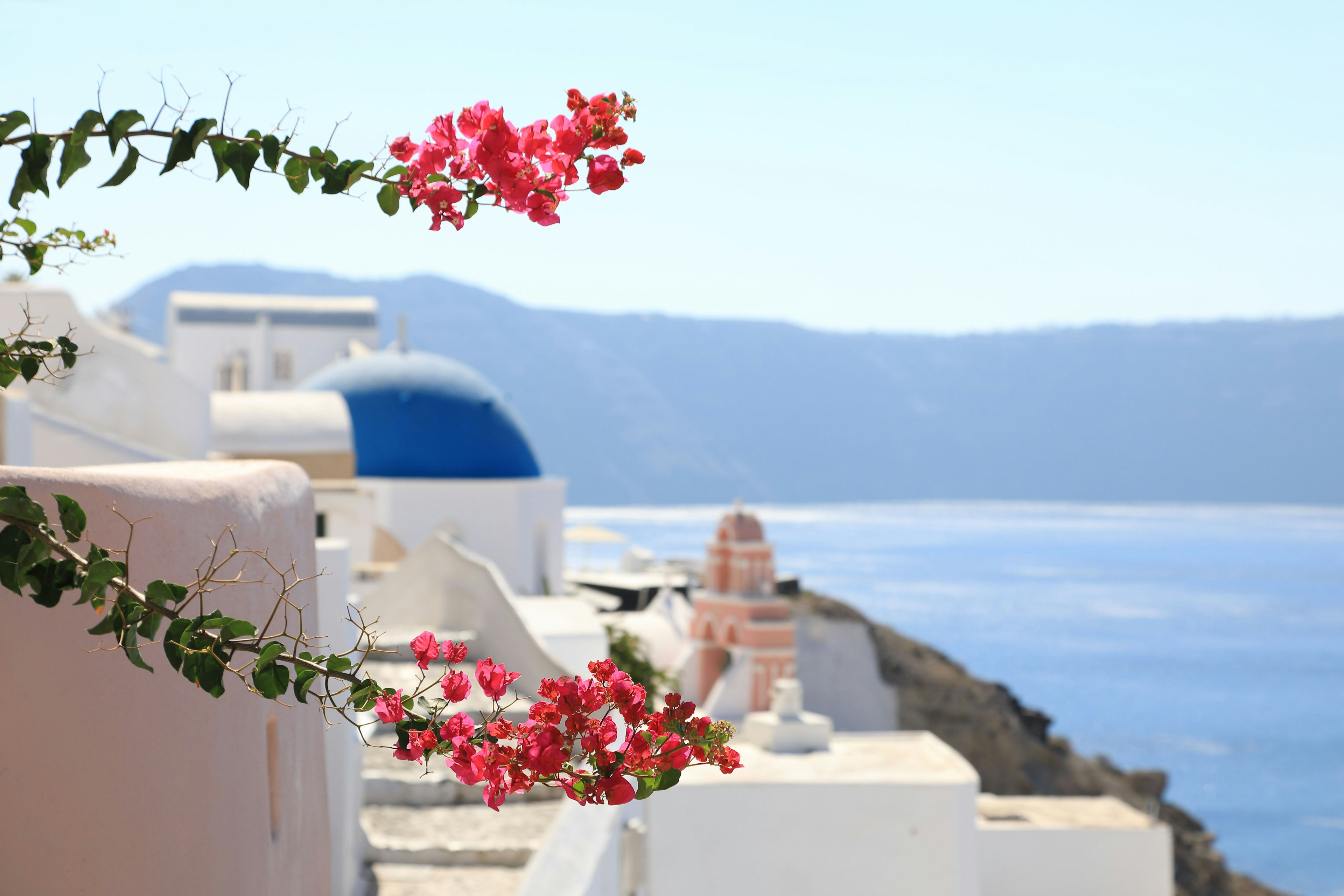 Hermosa vista de Santorini con flores de bugambilias rosas y cúpula azul