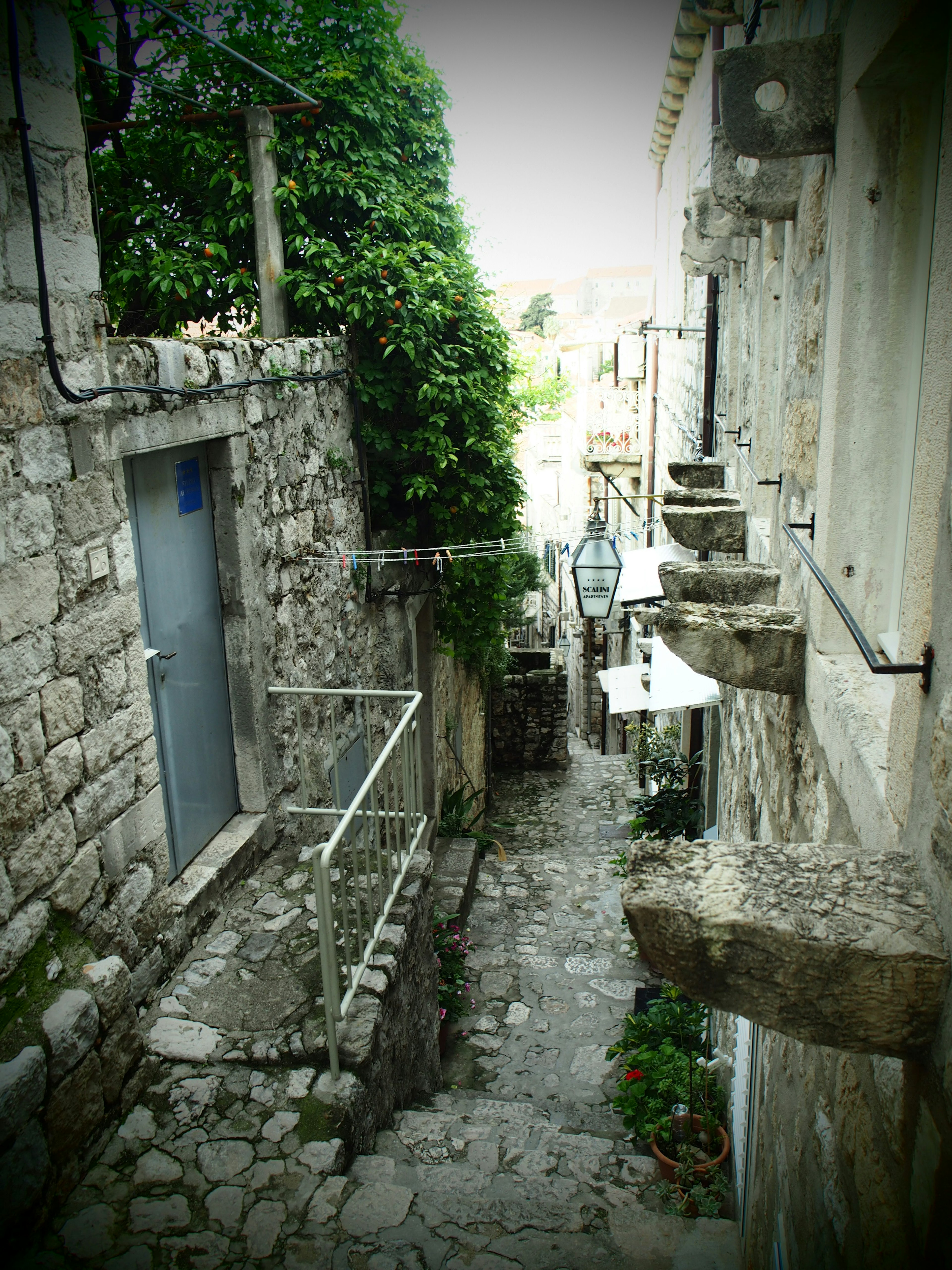 Narrow stone alley with old buildings and green foliage