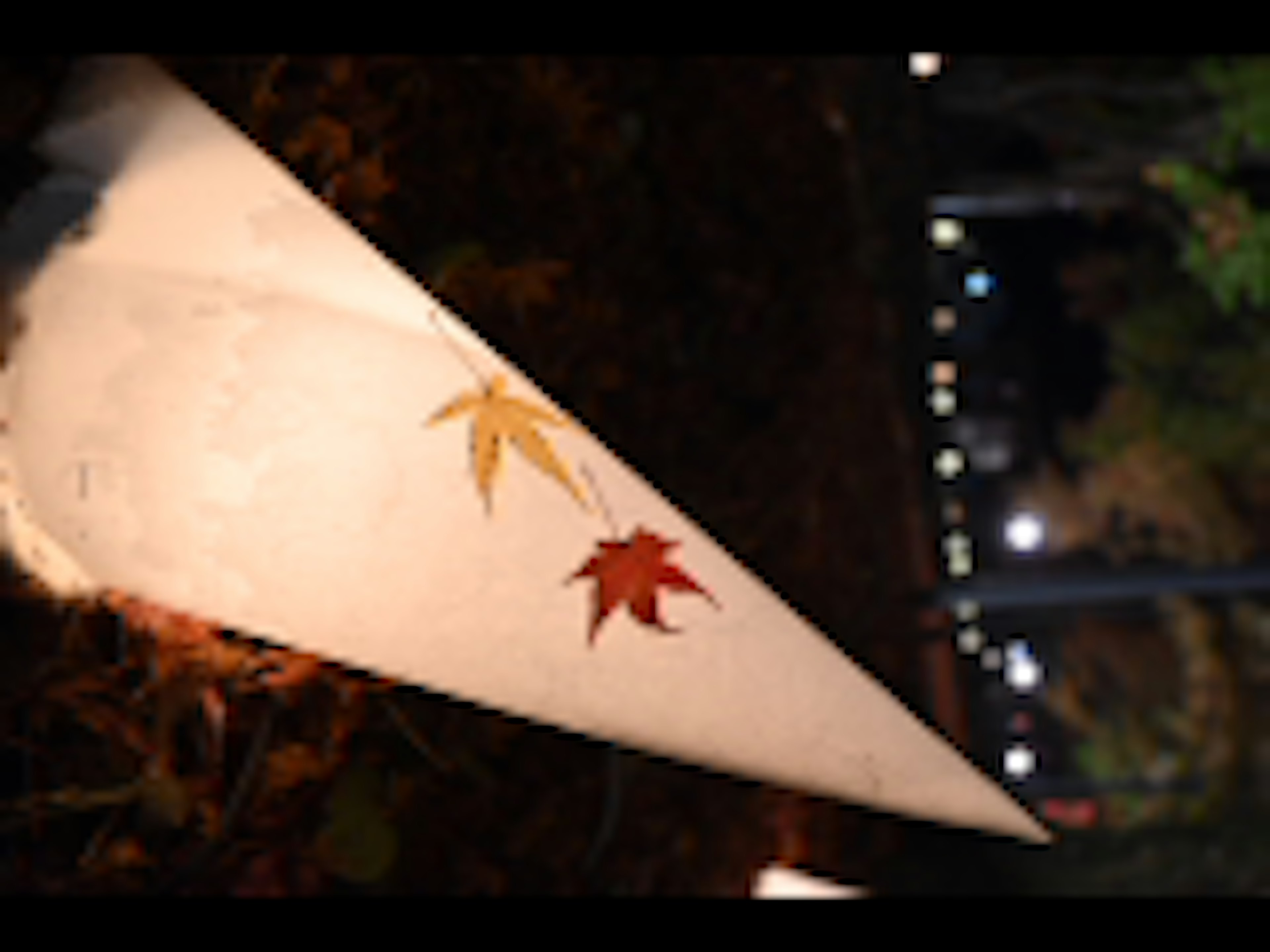 A white triangular object in a park at night features red and yellow maple leaves