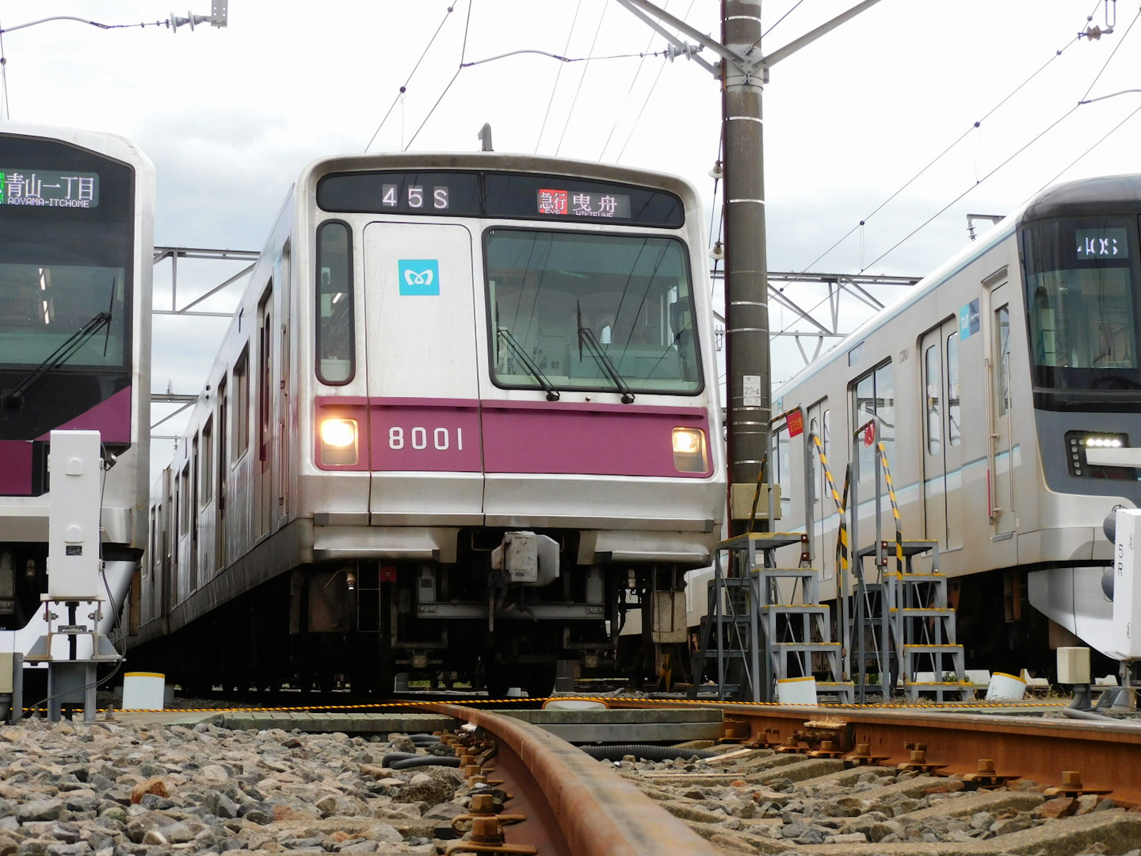 Train with purple stripes on the tracks