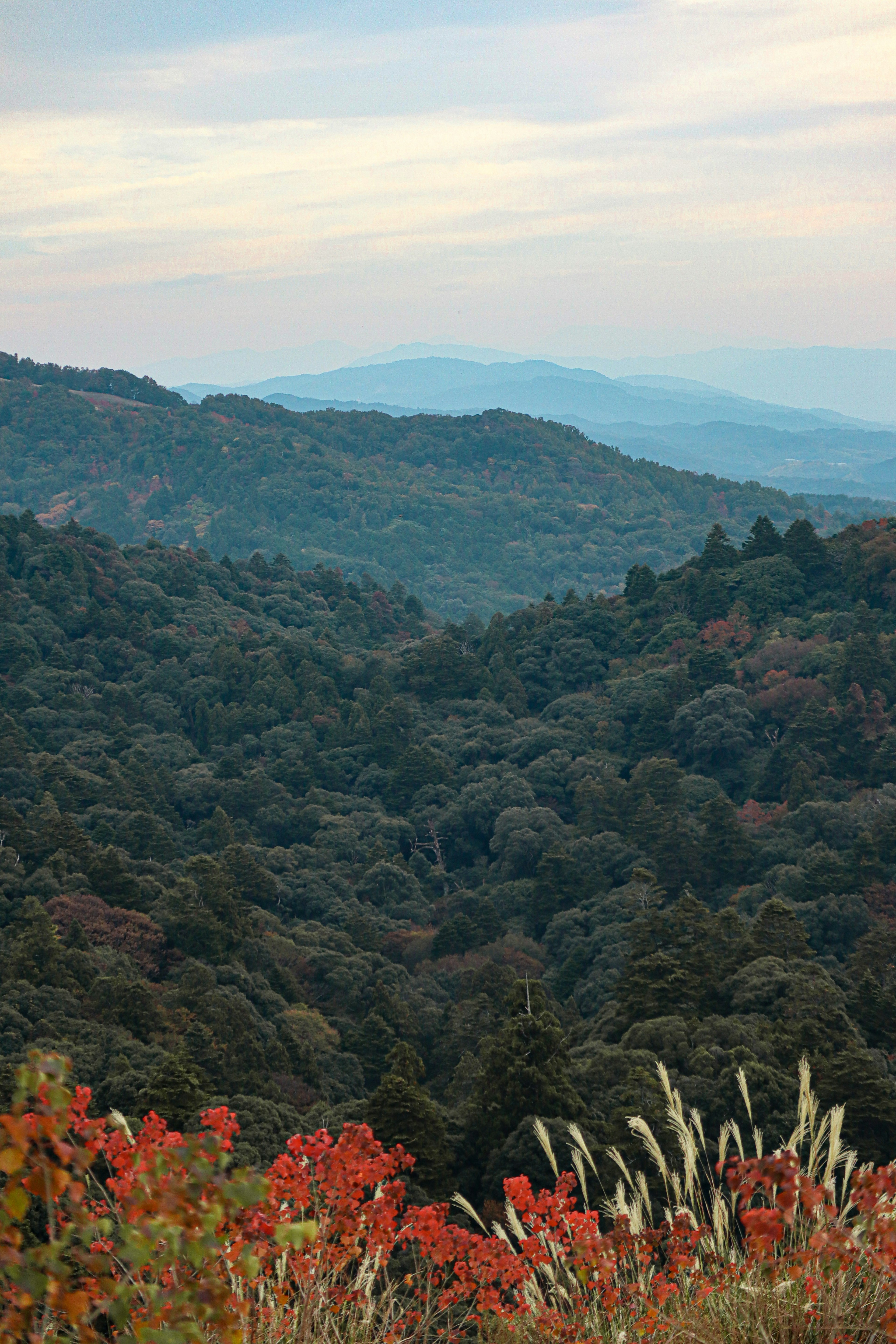 Vue pittoresque des montagnes ornées de couleurs d'automne