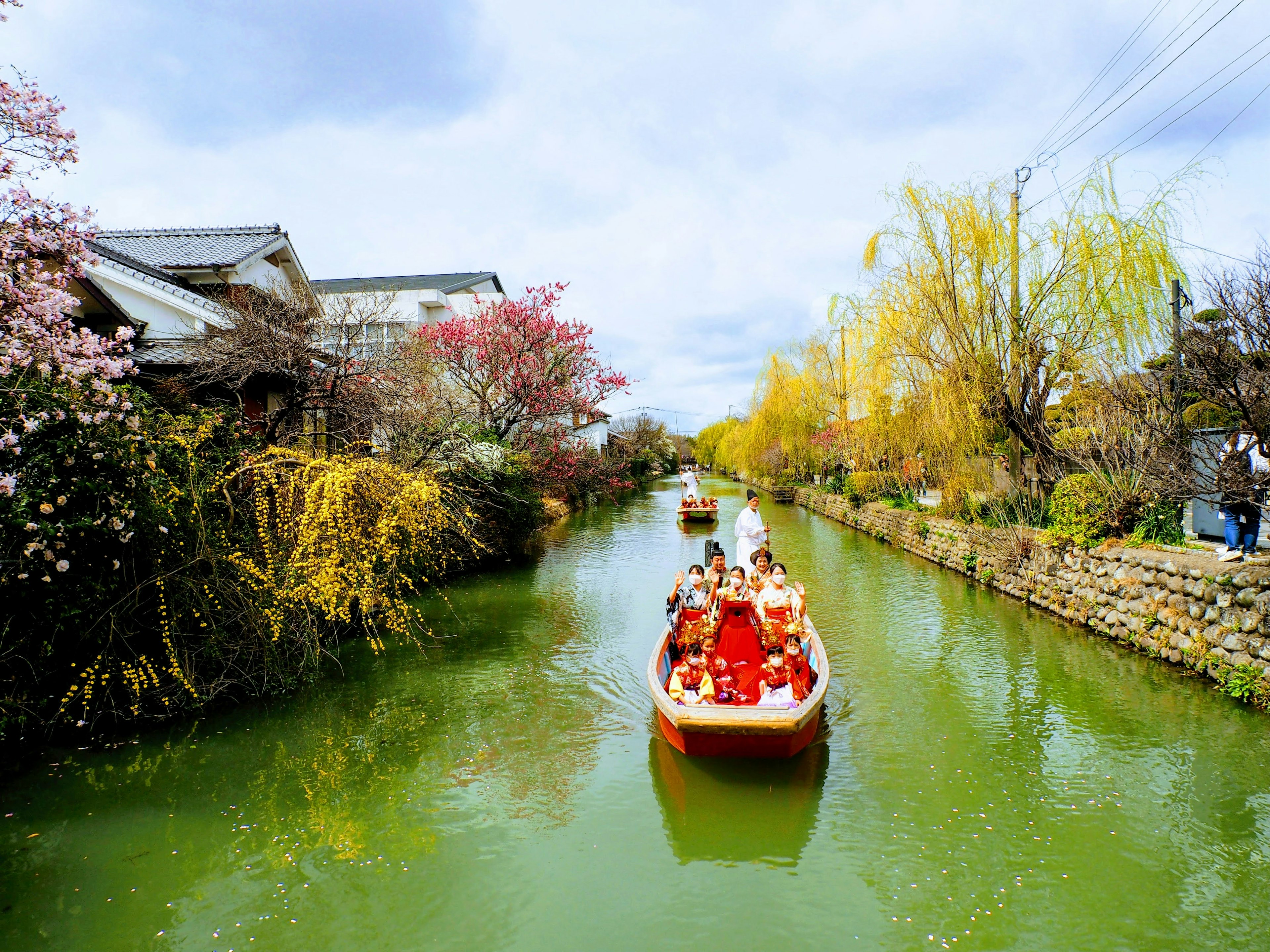 Bateau traditionnel naviguant sur un canal vert entouré de cerisiers en fleurs