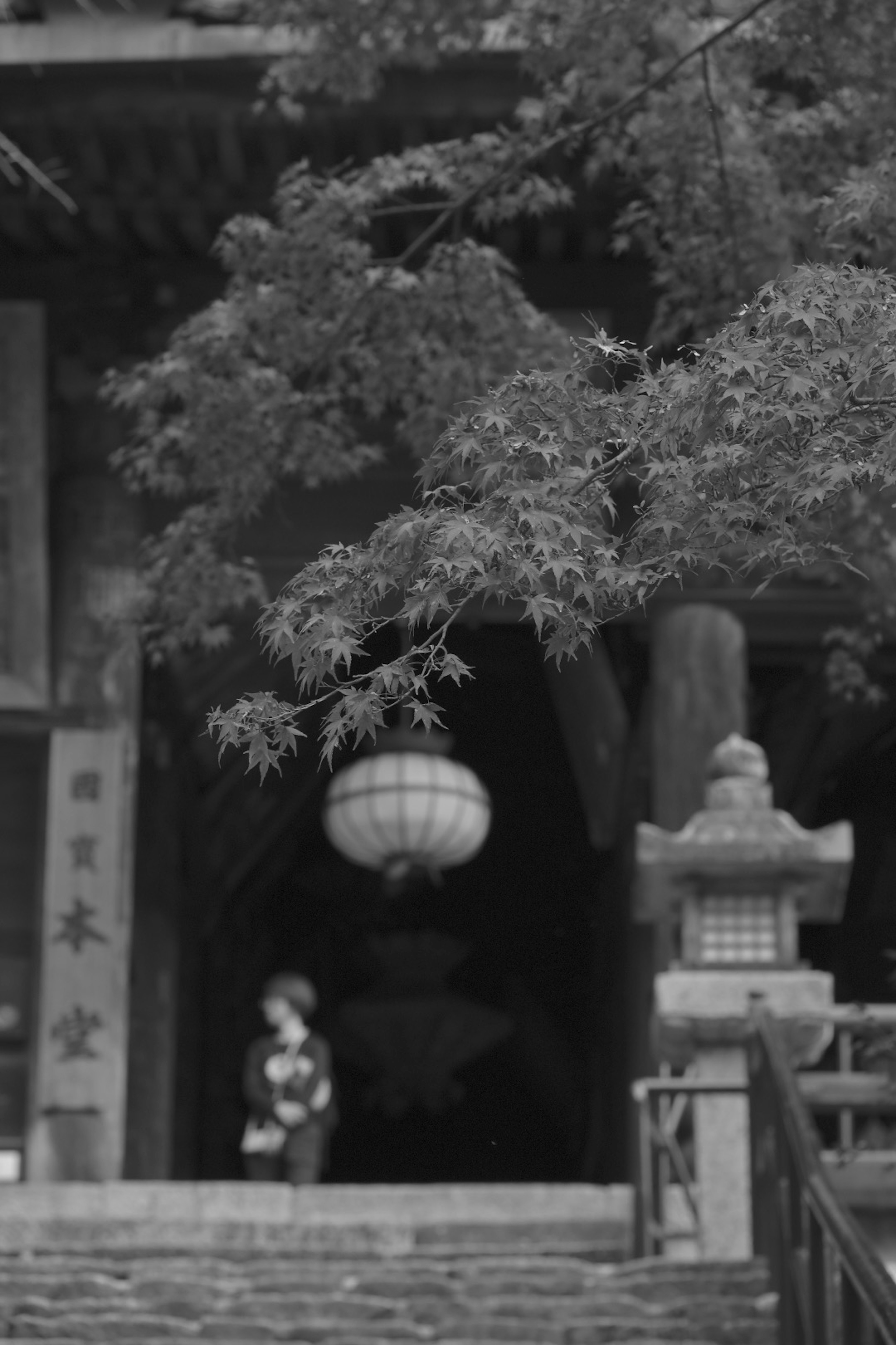 Photo en noir et blanc d'une entrée de temple japonais traditionnel avec des feuilles vertes