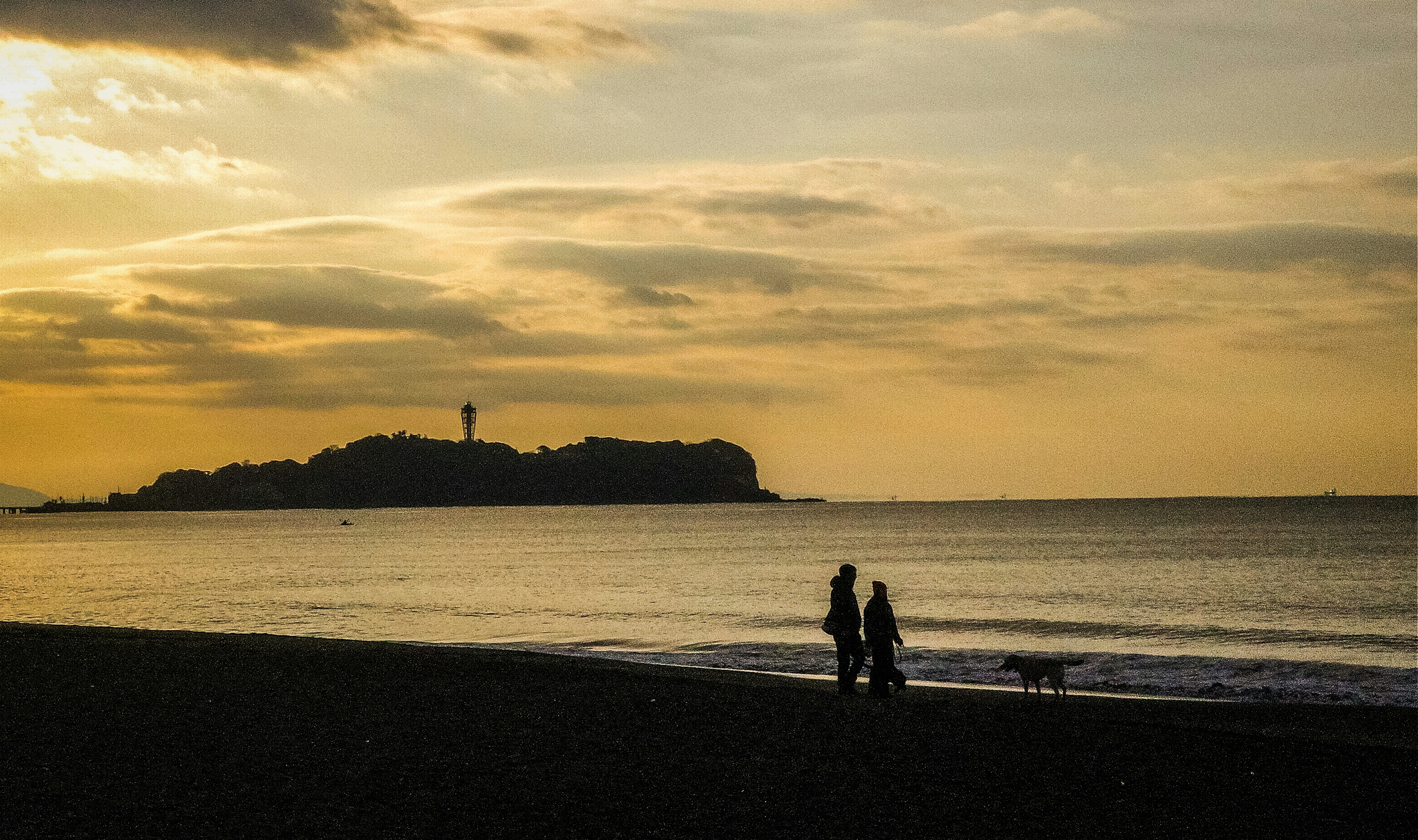 Silhouette of a couple walking with a dog on the beach at sunset