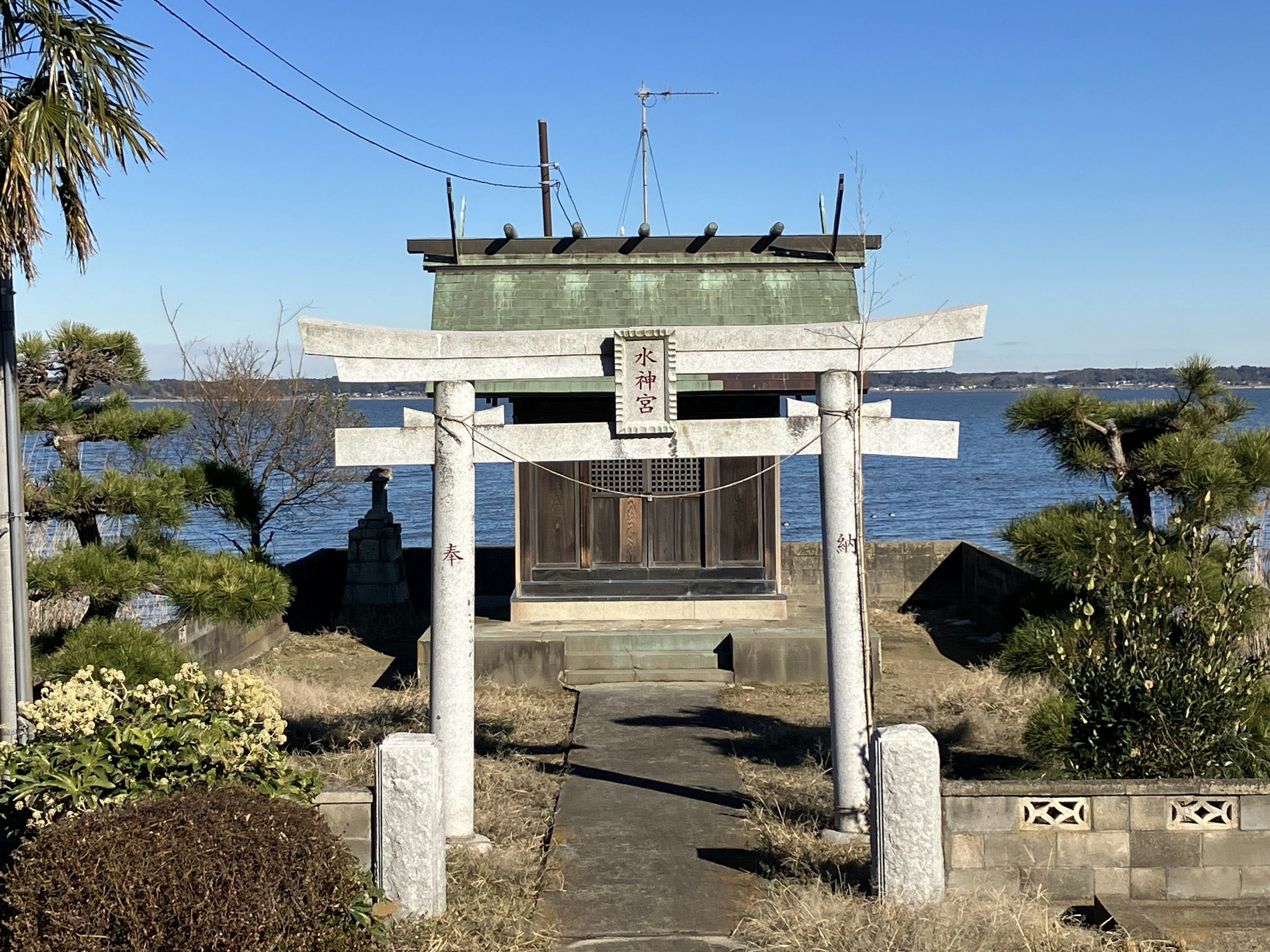 水辺にある神社の鳥居と建物が見える風景