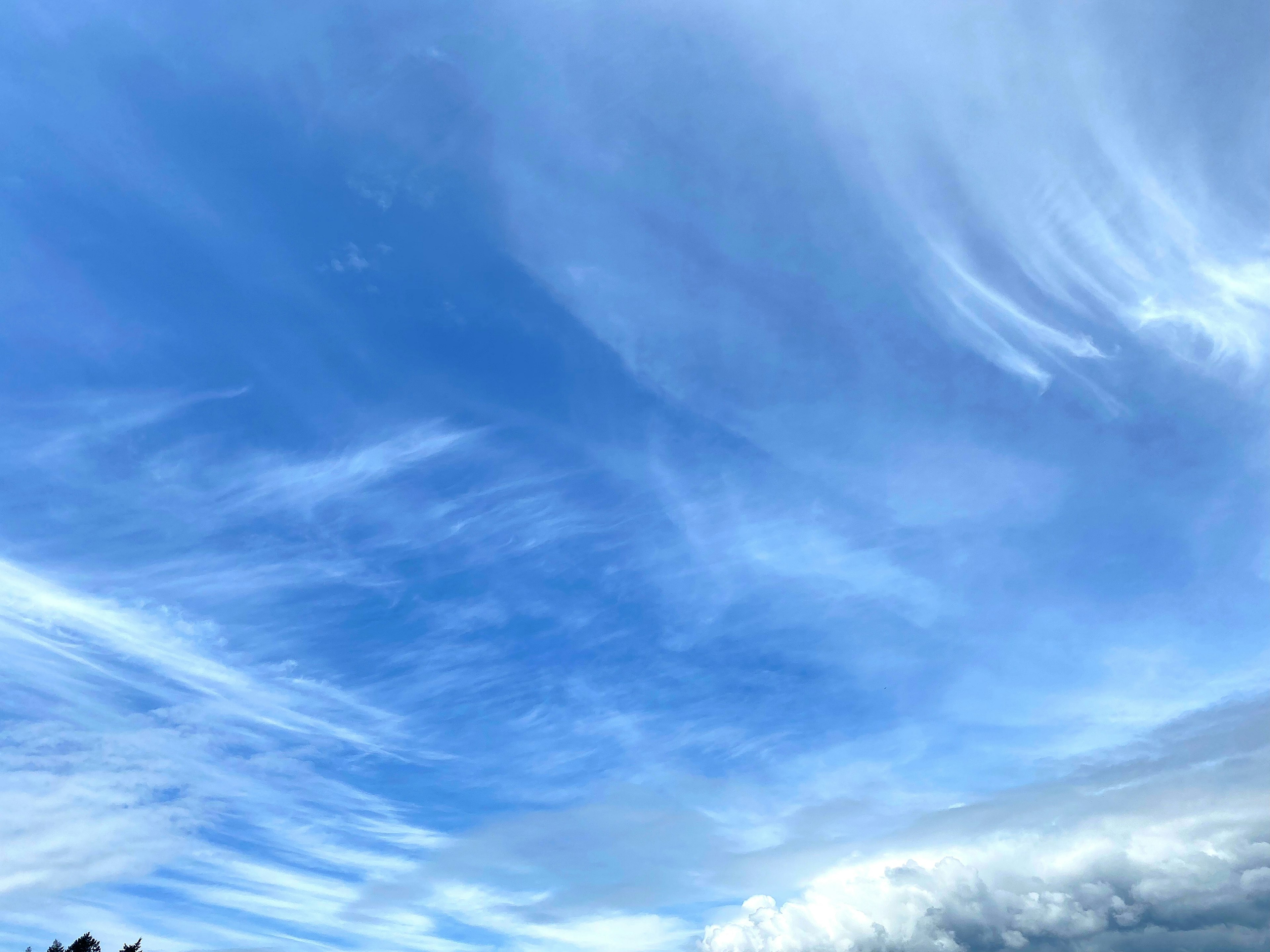 Expansive blue sky with flowing clouds