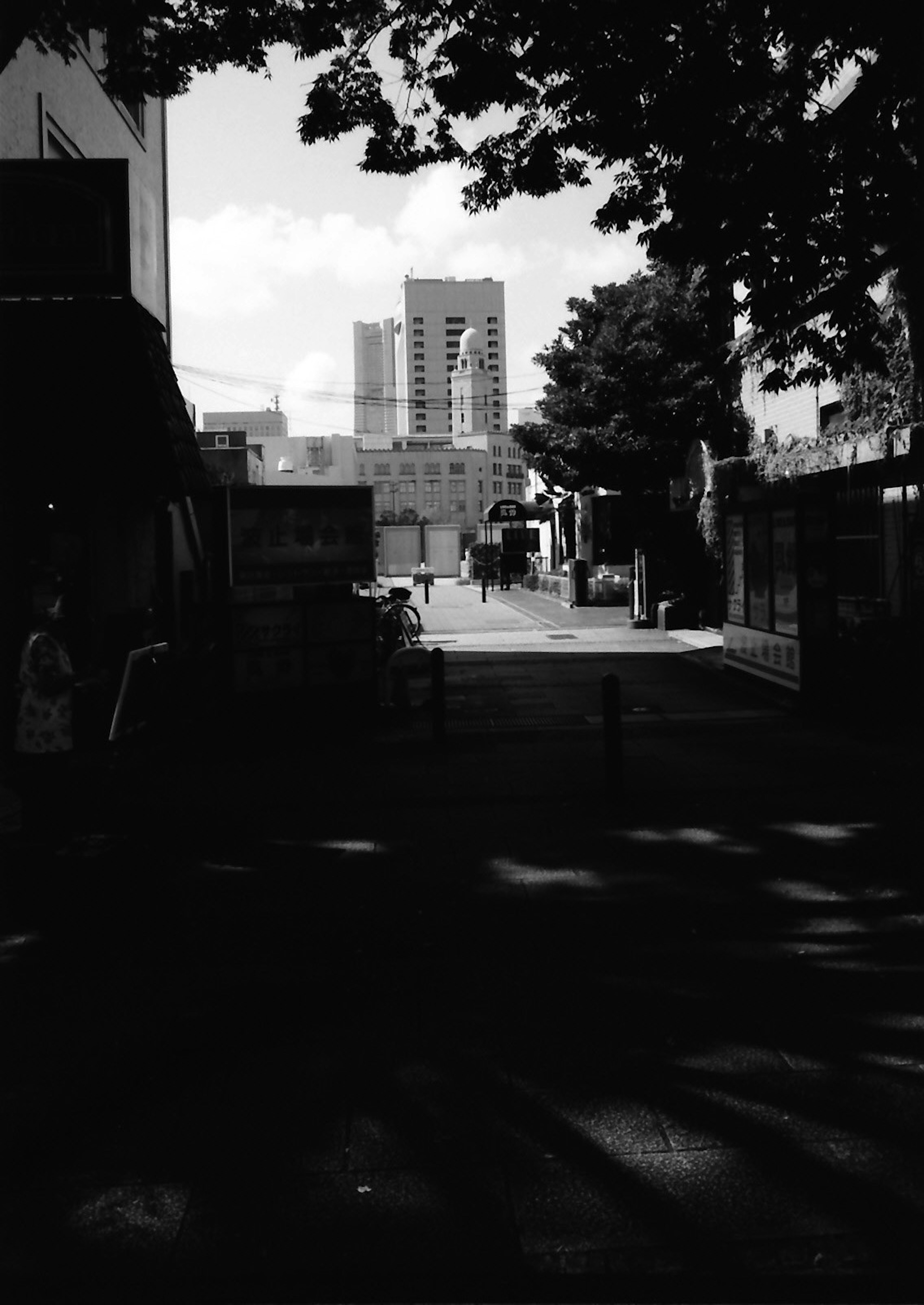 Vista de calle en blanco y negro con edificios altos al fondo