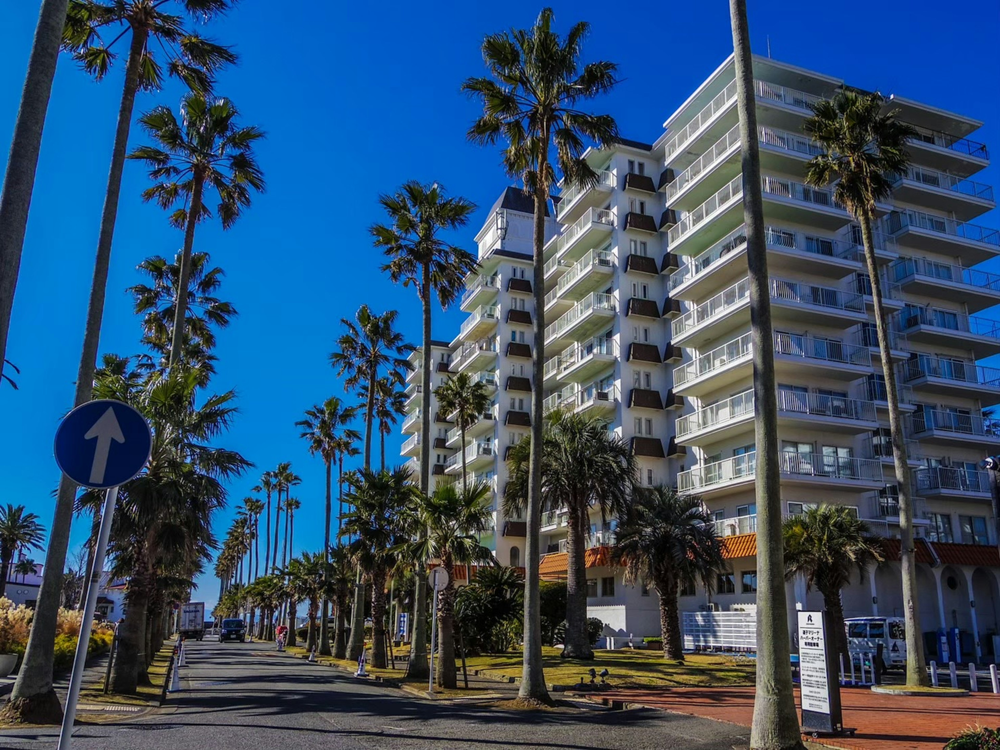 High-rise building with palm trees lining the street under a blue sky