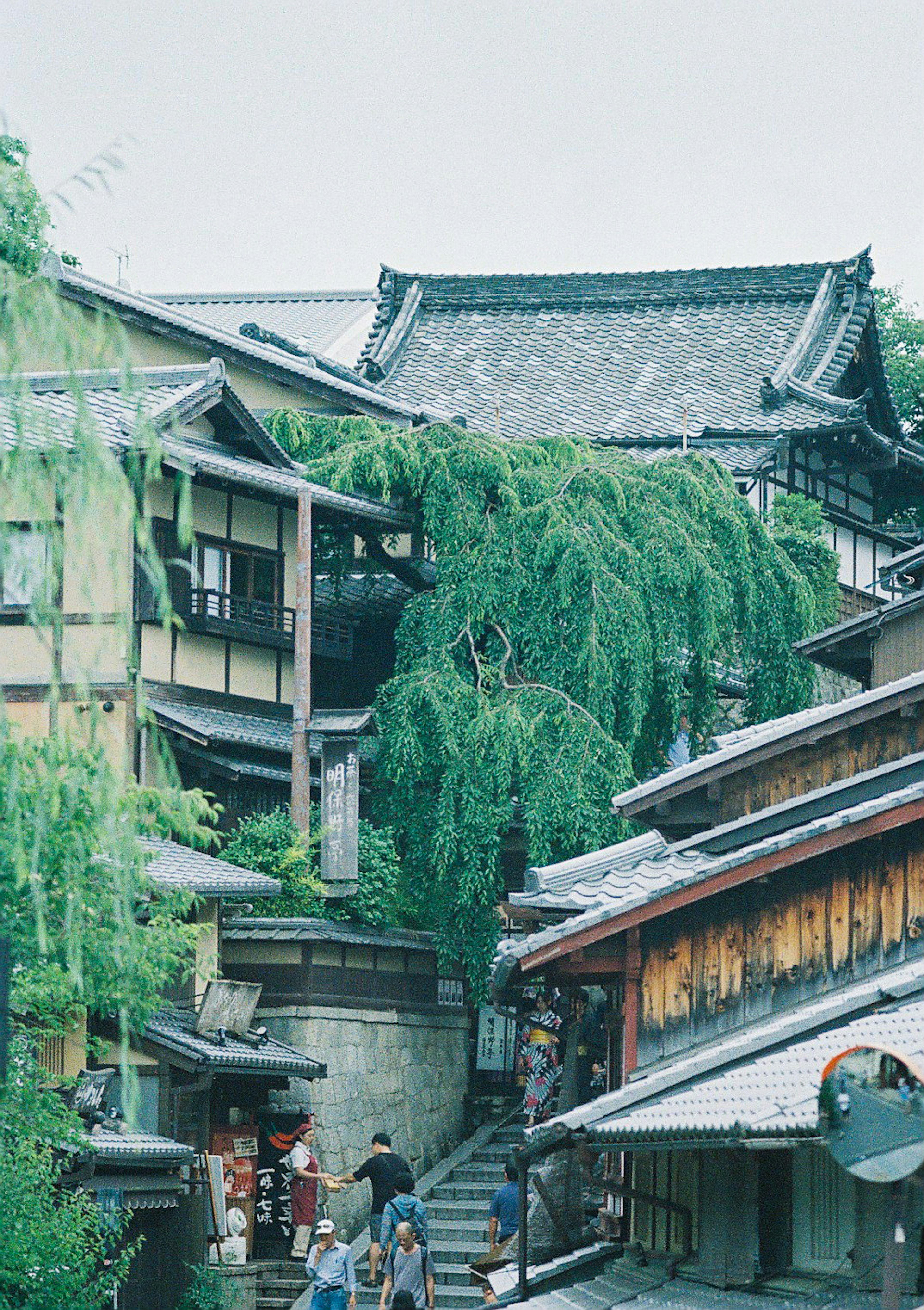 Traditionelle japanische Gebäude umgeben von üppigem Grün in einer historischen Straße