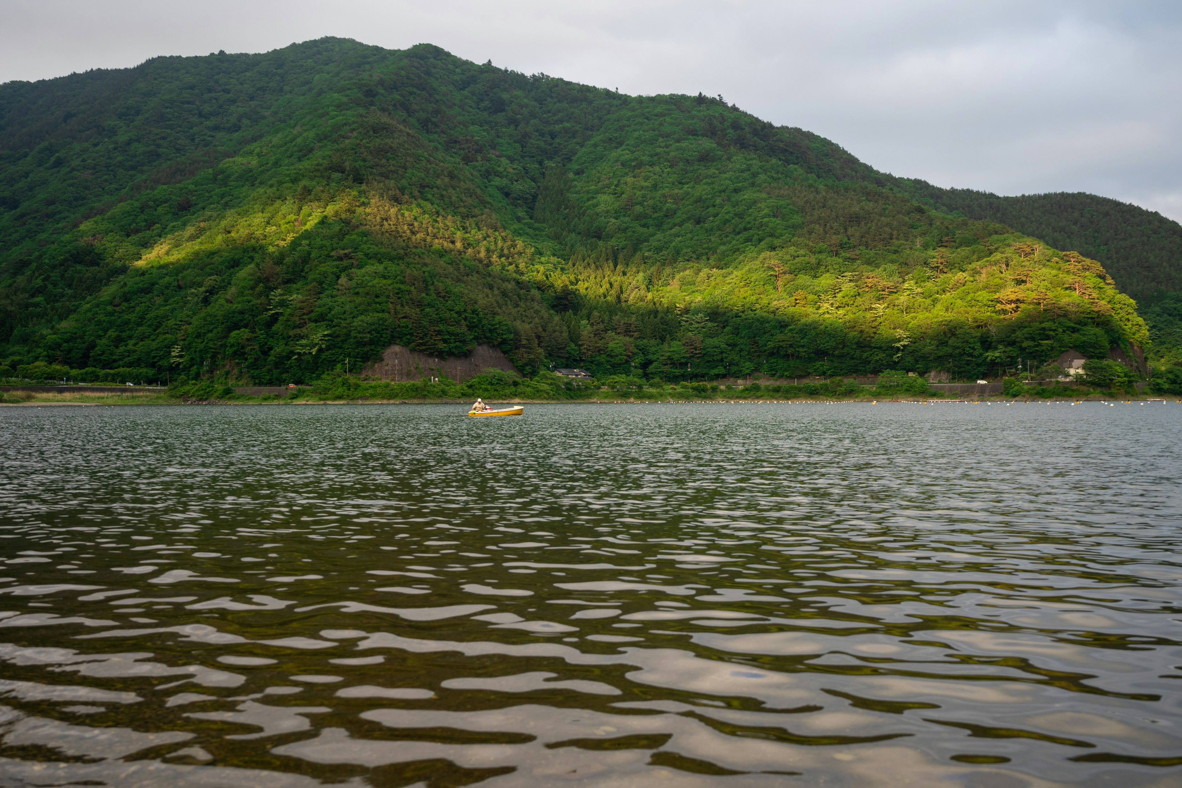 Vue sereine du lac avec des collines verdoyantes et des reflets sur l'eau