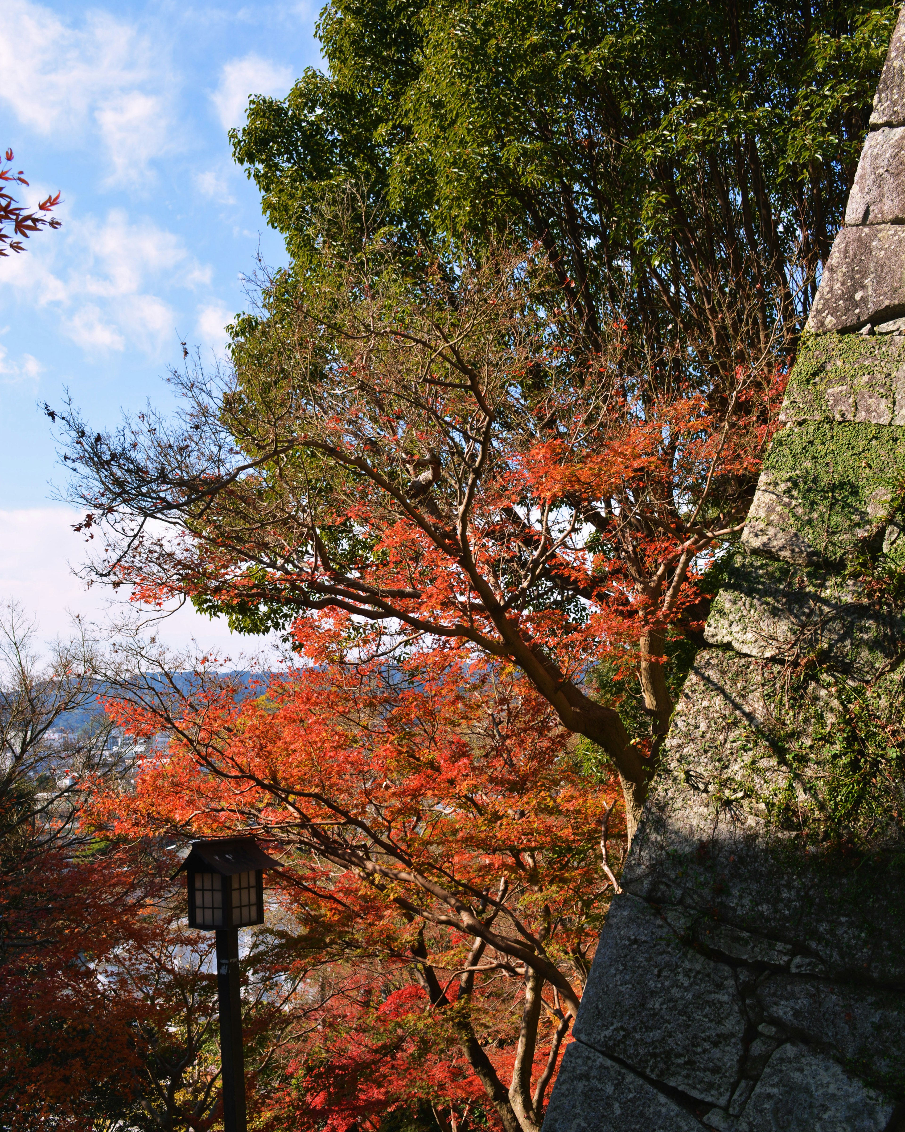 Malersicher Ausblick auf Herbstlaub und Steinmauer