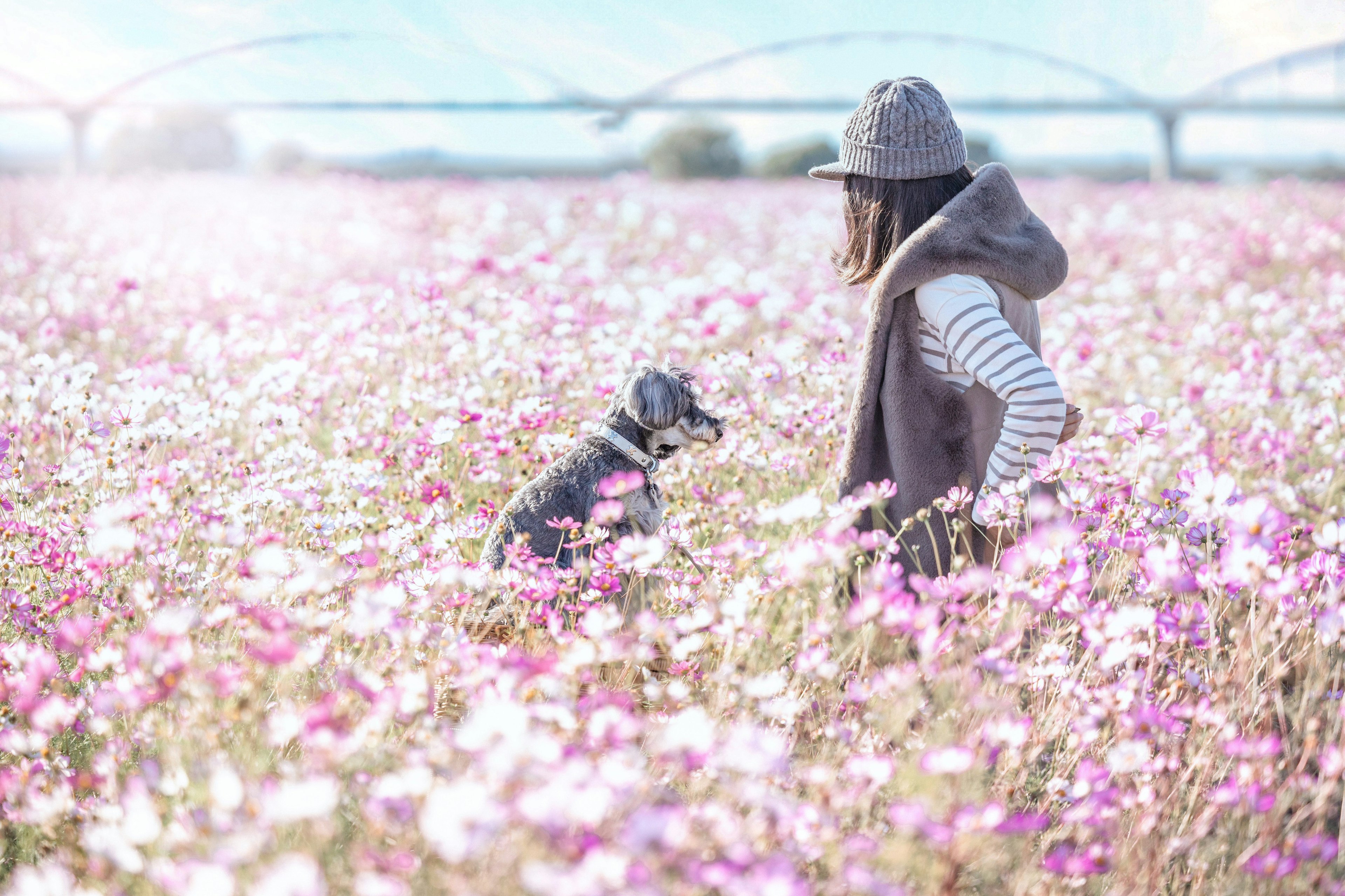 Frau mit einem Hund in einem Blumenfeld