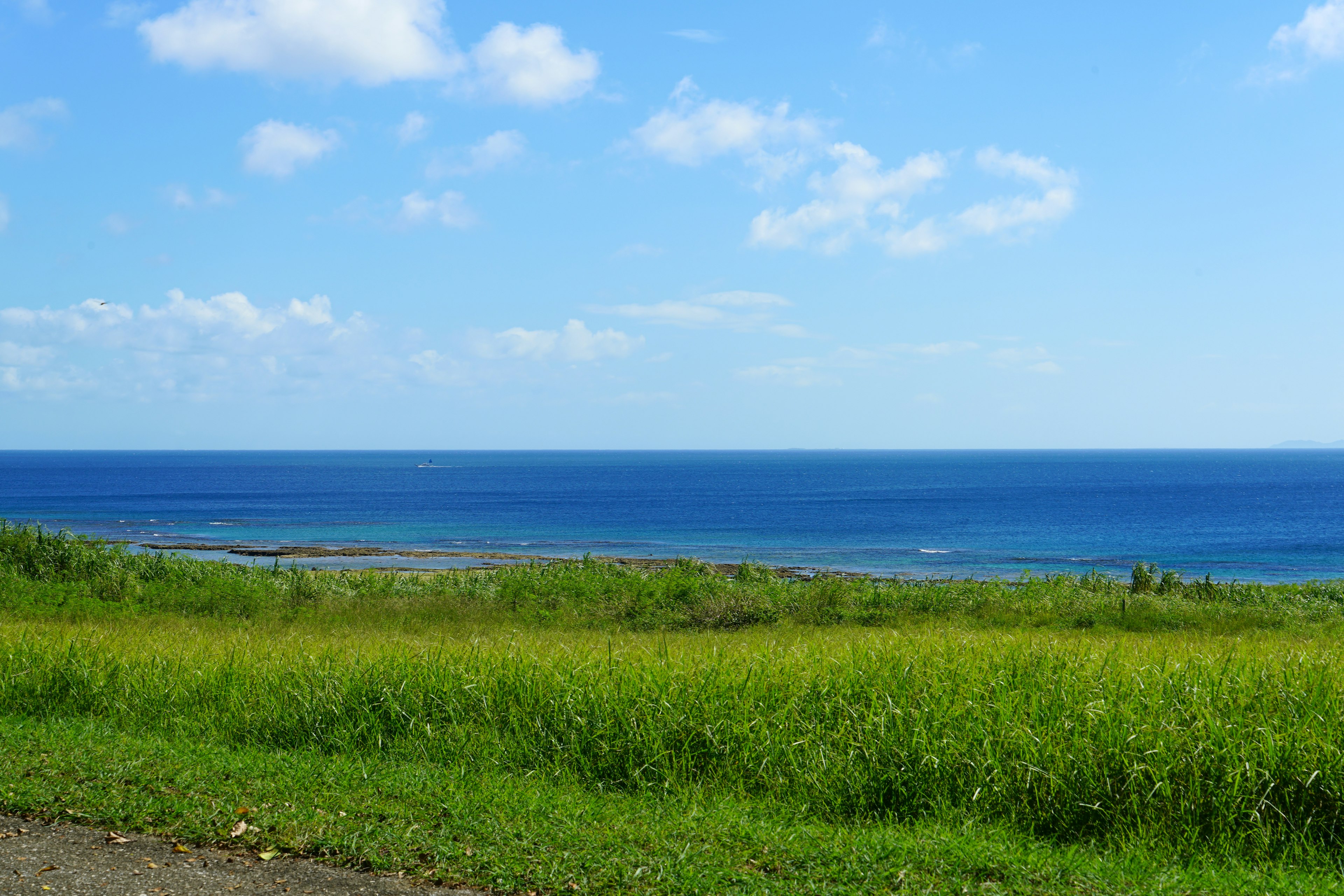 Pemandangan laut biru dan langit dengan padang rumput hijau di latar depan