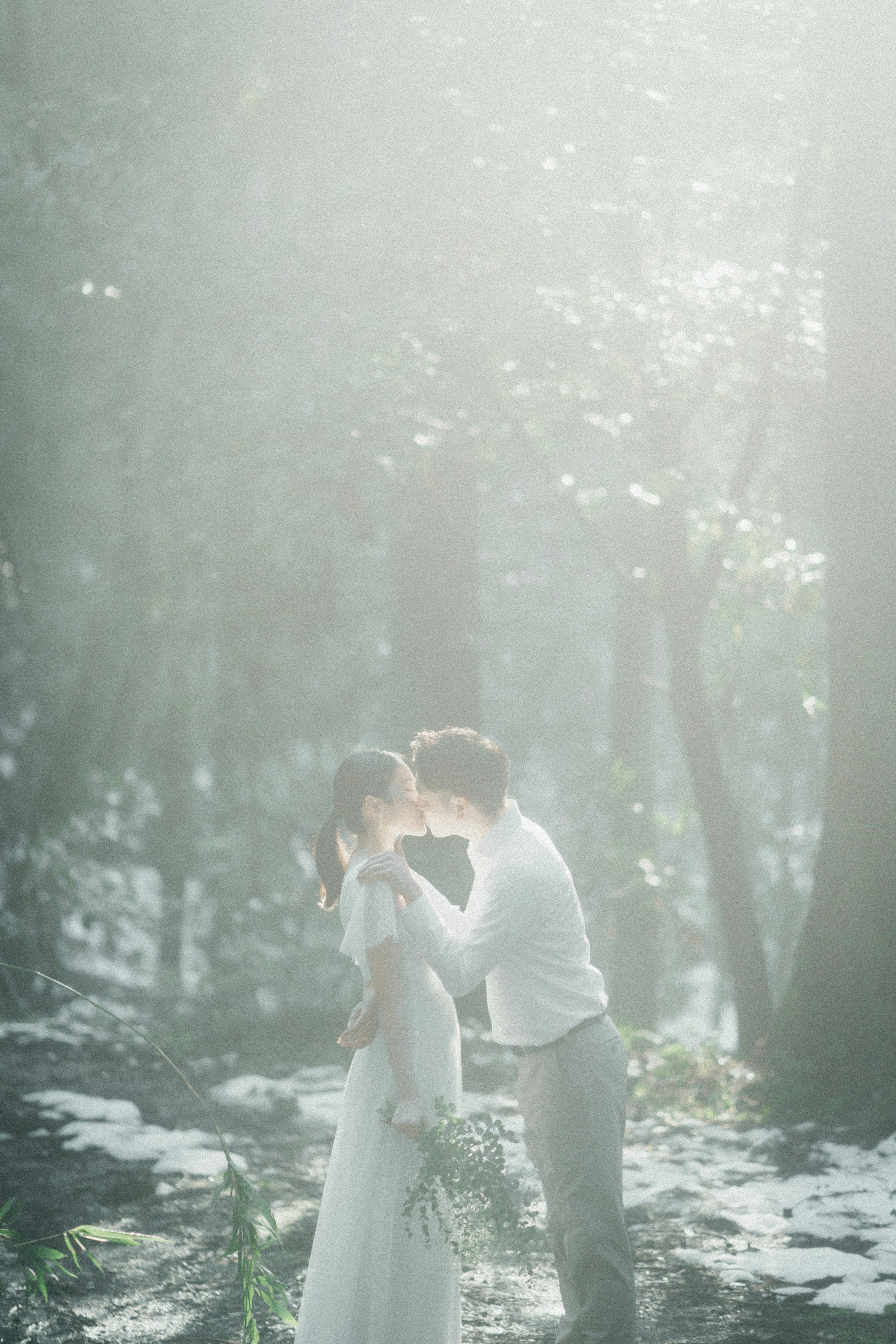 Romantic scene of a newlywed couple kissing in a misty forest