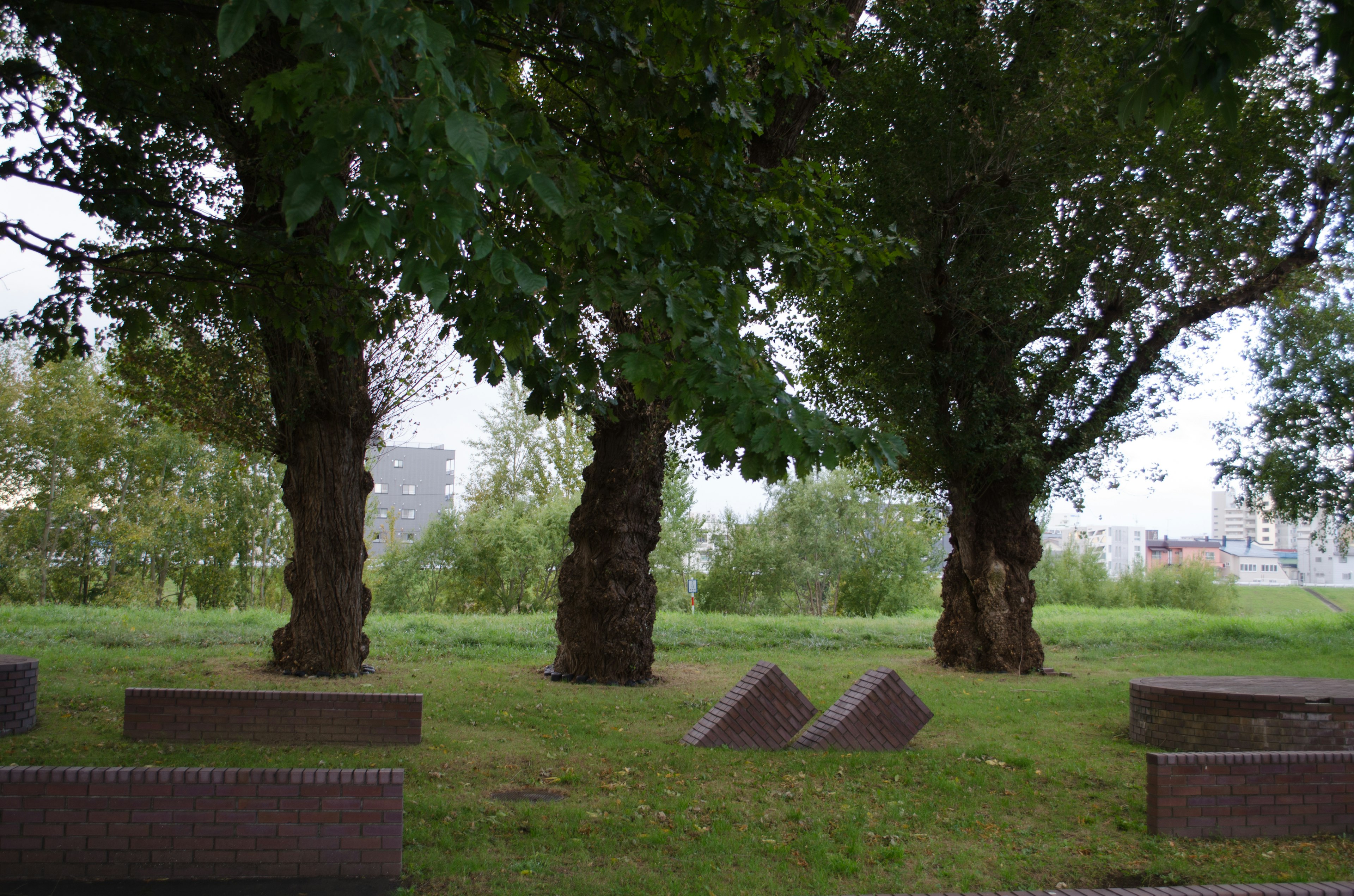 Landschaft mit großen Bäumen und geometrischen Skulpturen auf grünem Gras