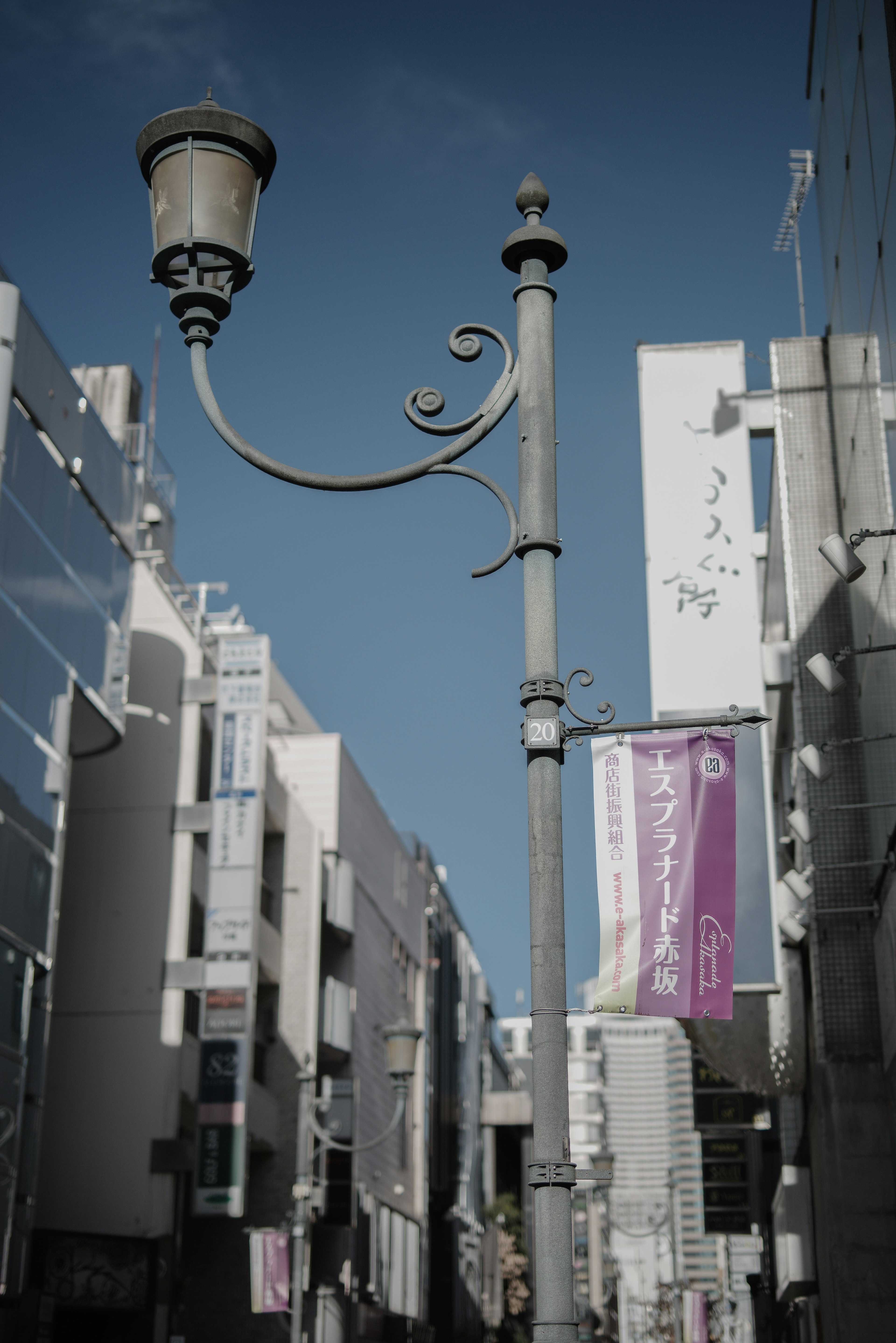 街路灯と商業ビルが並ぶ通りの風景