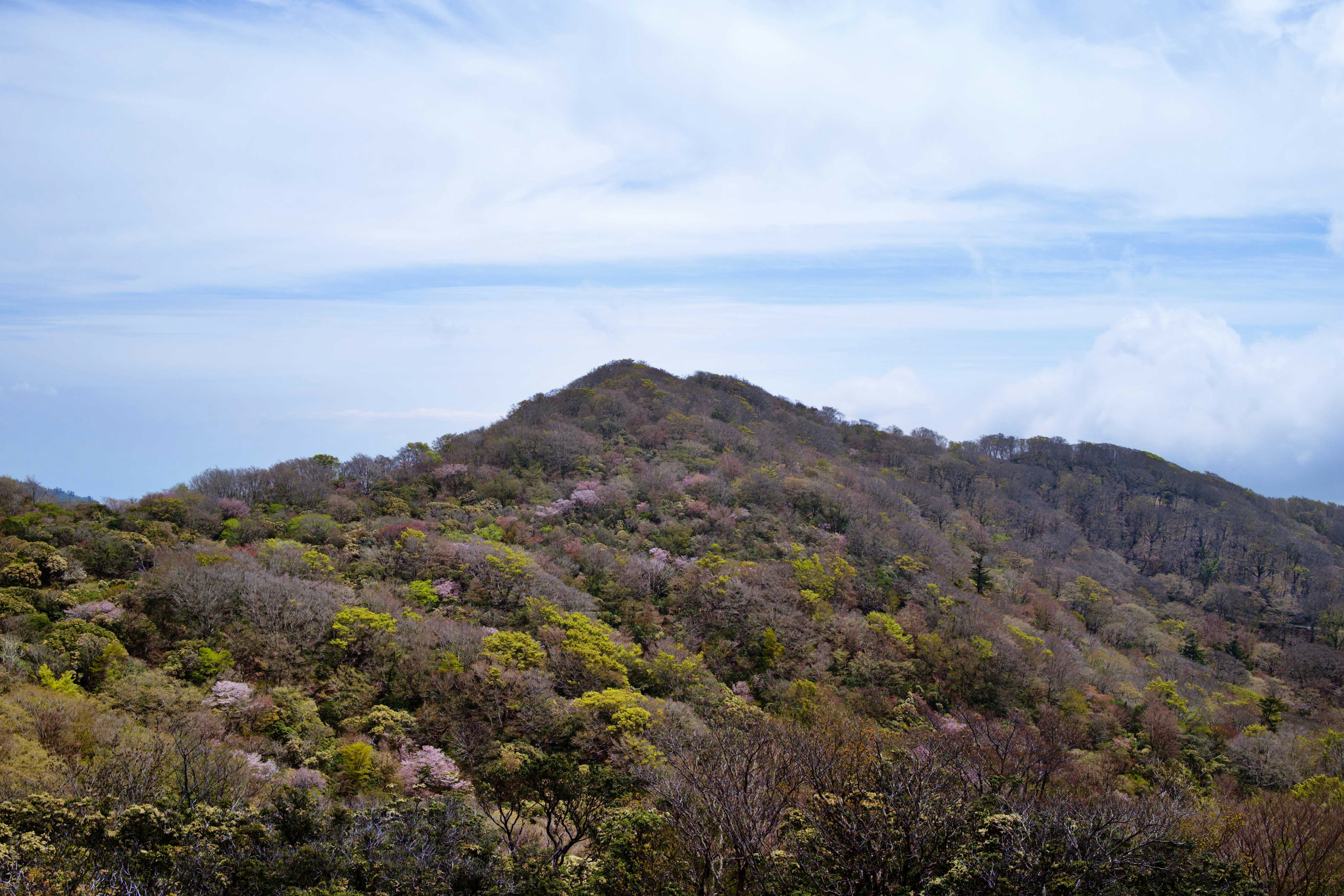 Colinas verdes bajo un cielo azul