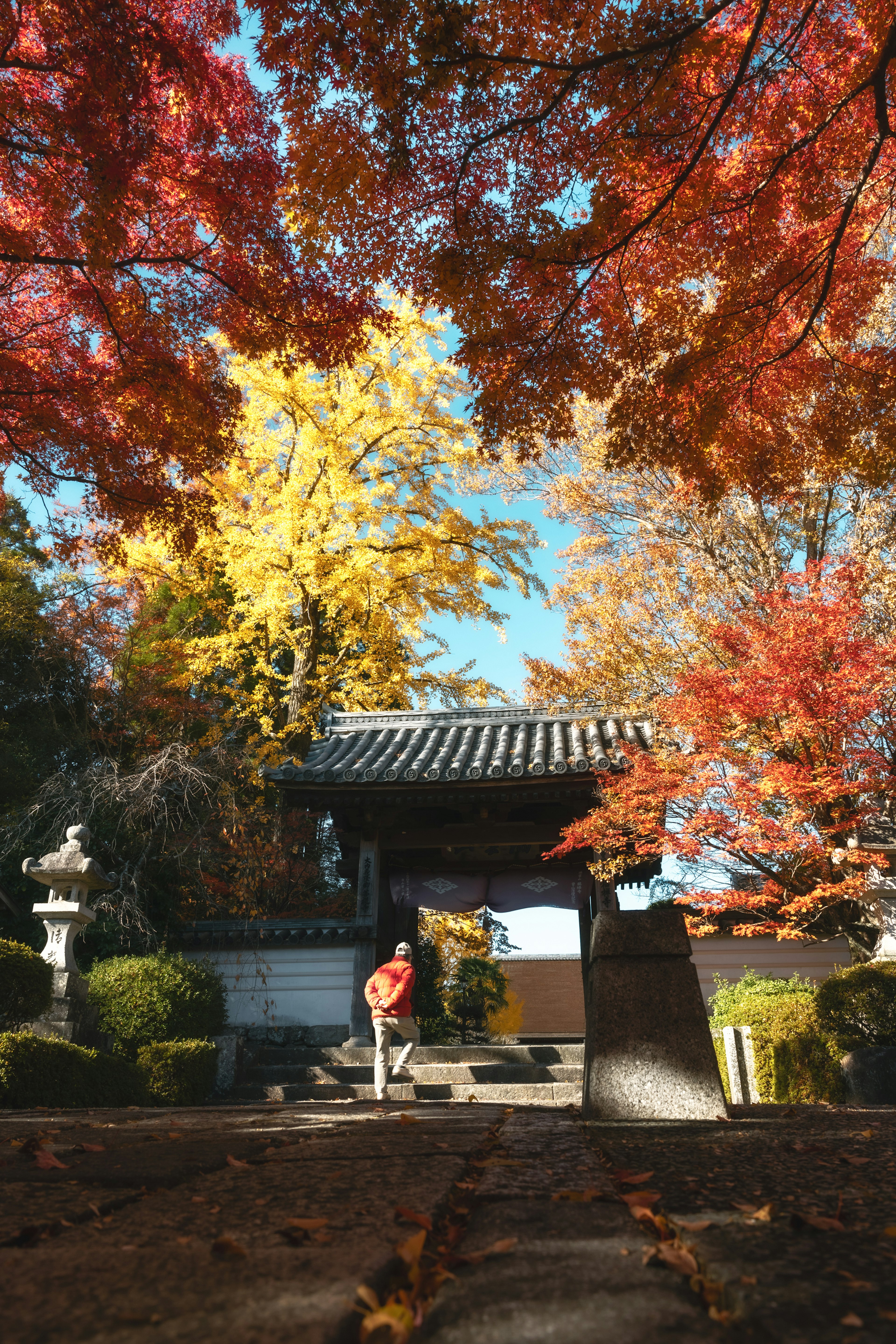 秋の紅葉に囲まれた寺の入口と青空