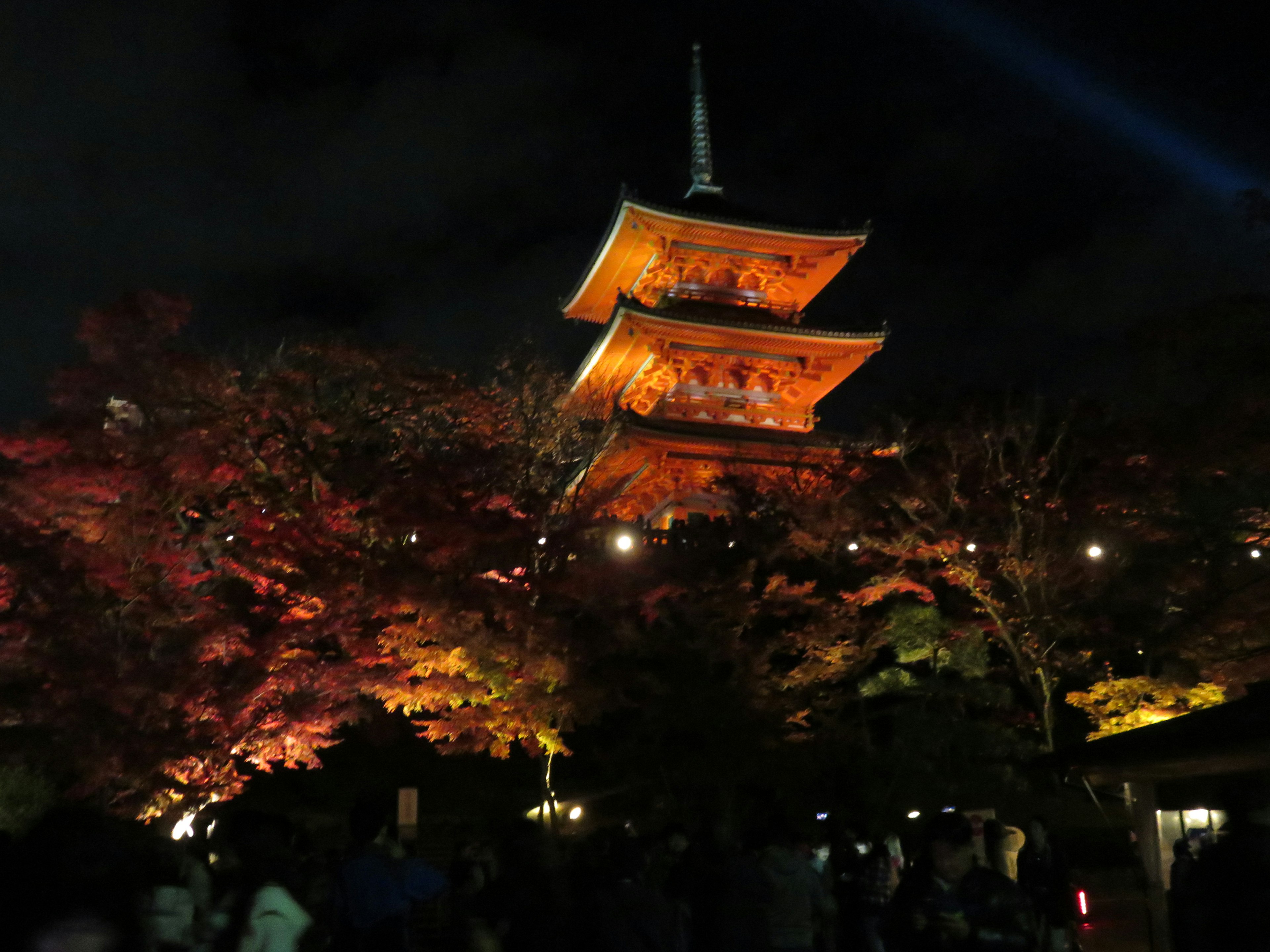 Kiyomizu-dera Temple illuminated at night with autumn leaves