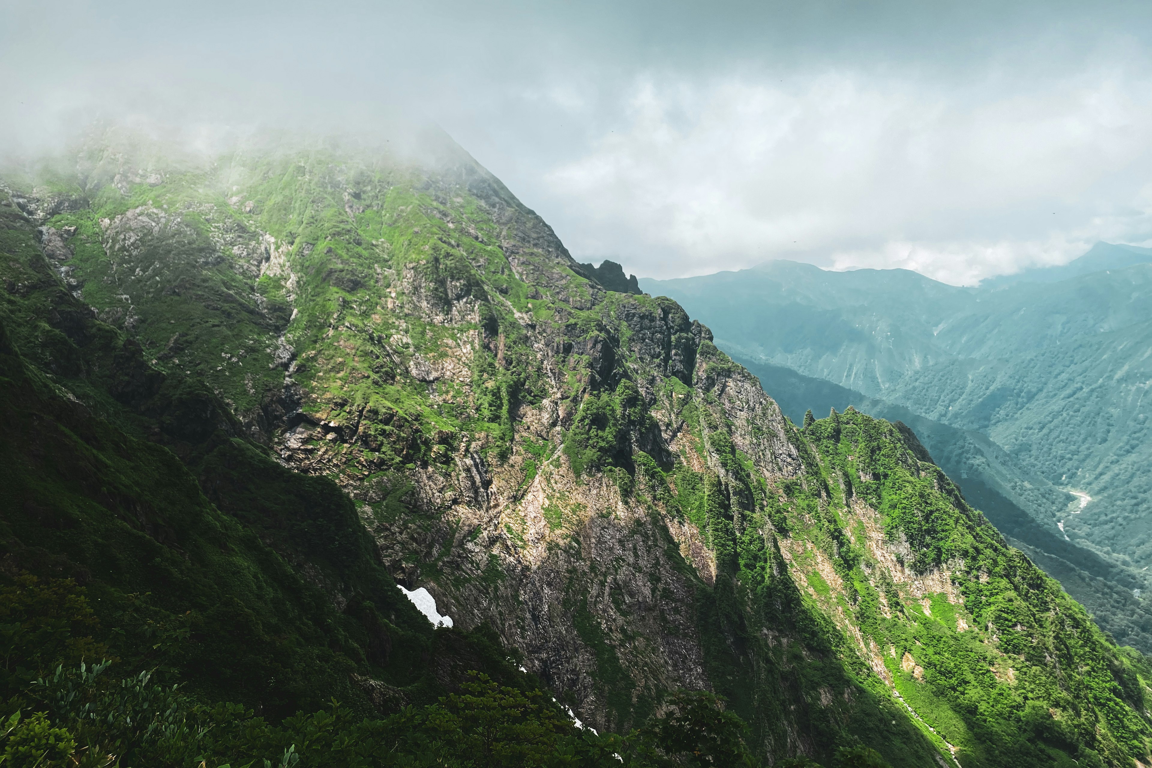 霧に覆われた緑豊かな山の風景