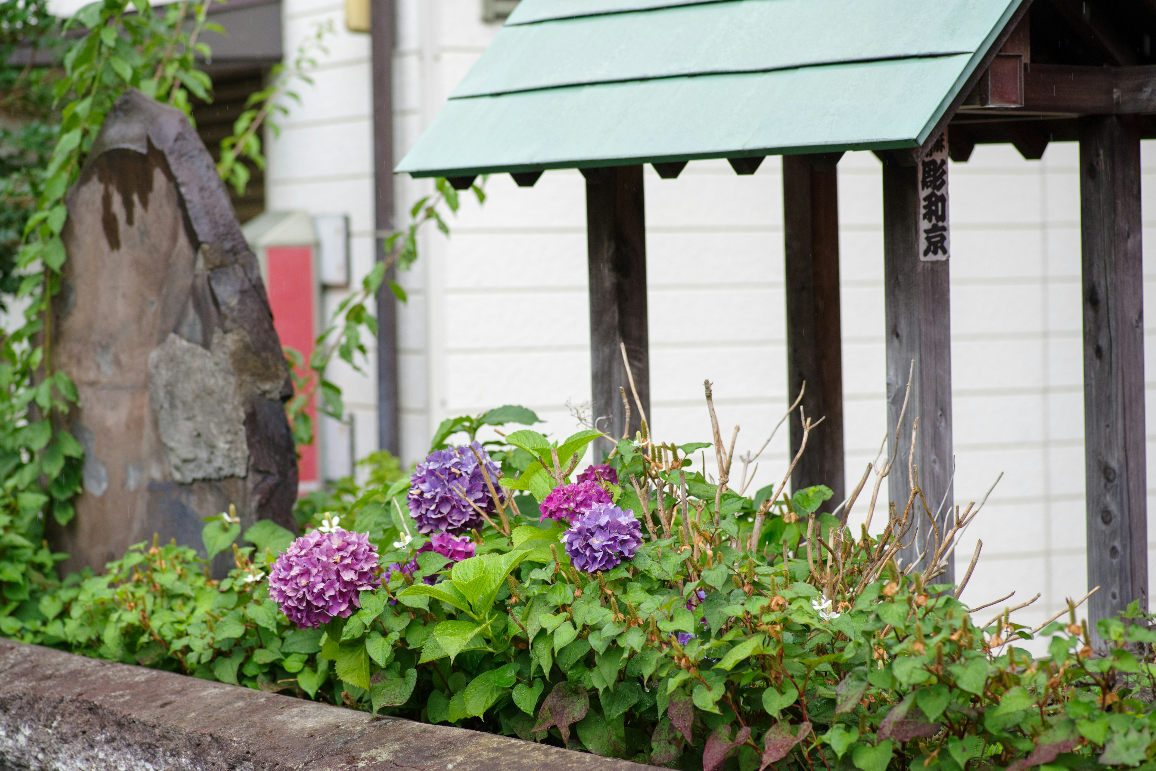 緑の屋根の小屋と紫色の花が咲く庭の風景