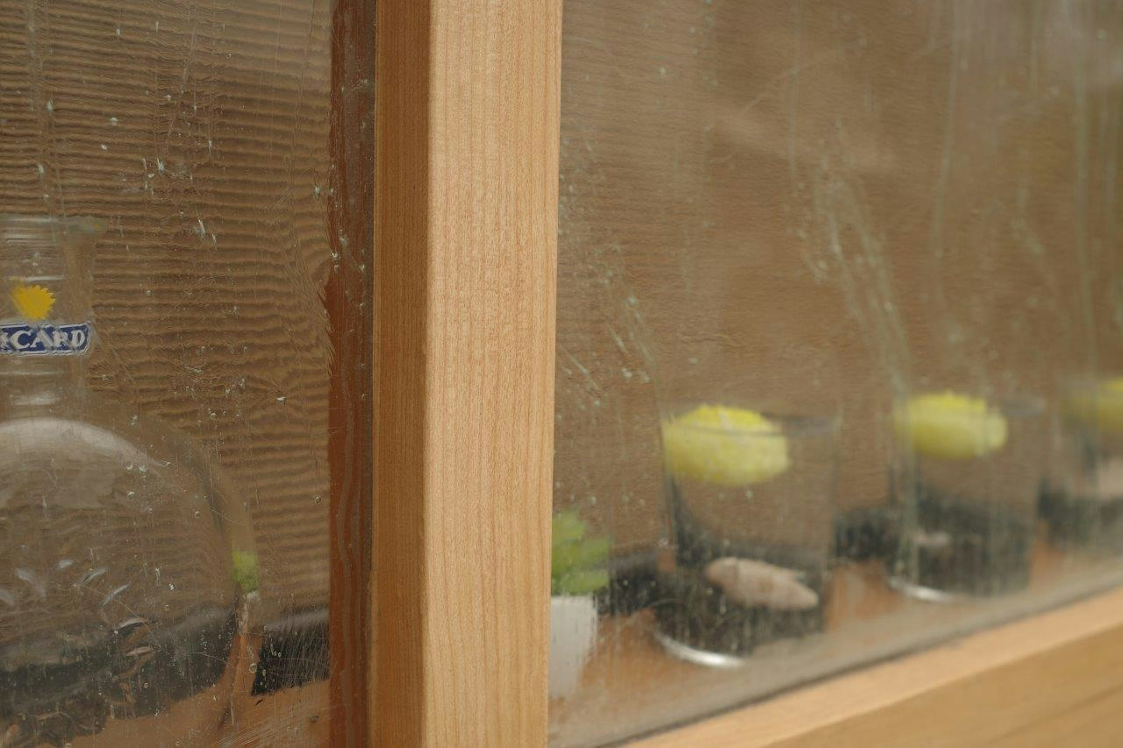 Behälter mit Pflanzen durch ein Glas mit Wassertropfen im Holzrahmen gesehen