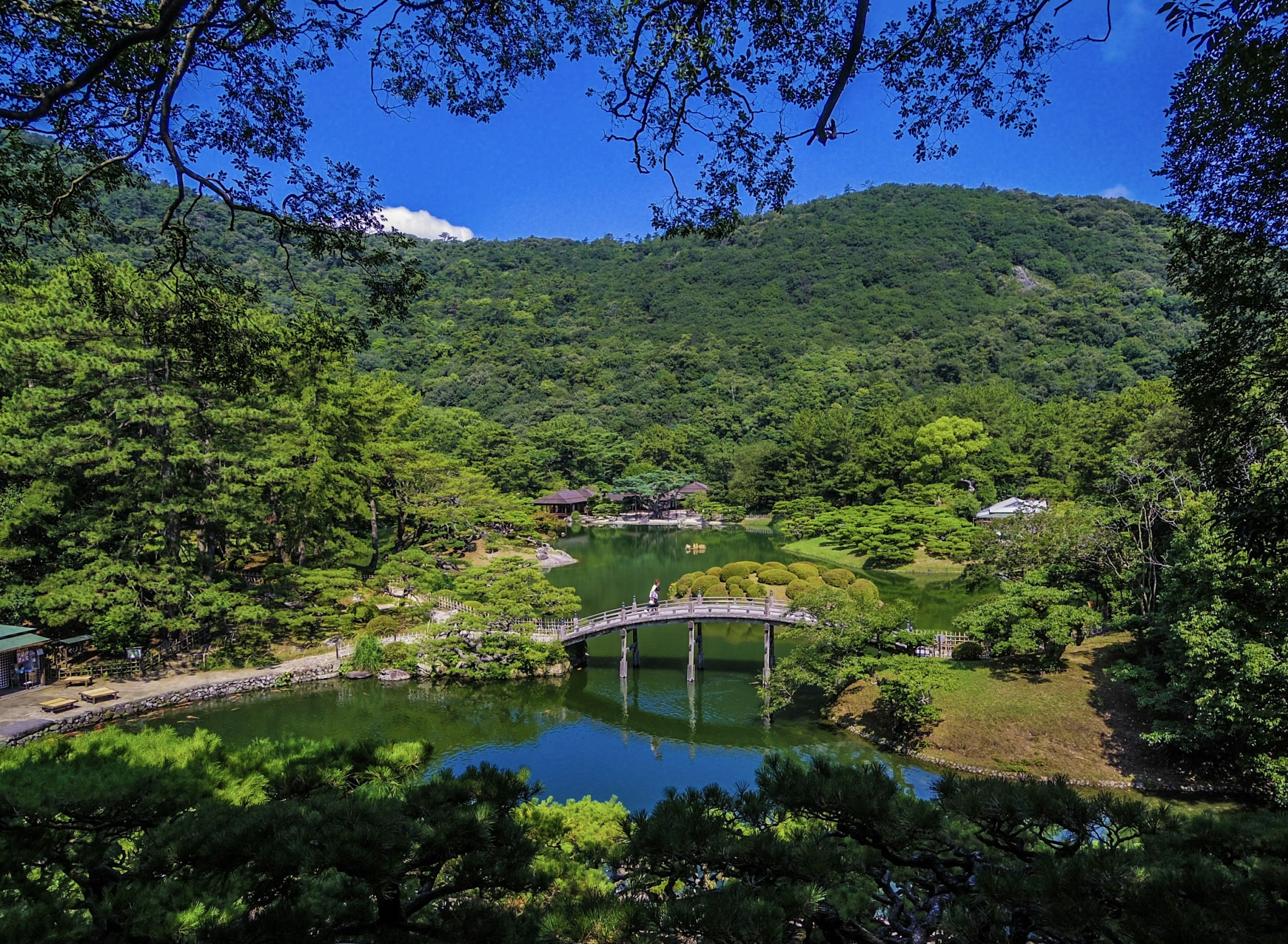 Scenic garden view surrounded by blue sky and green mountains featuring a bridge and pond