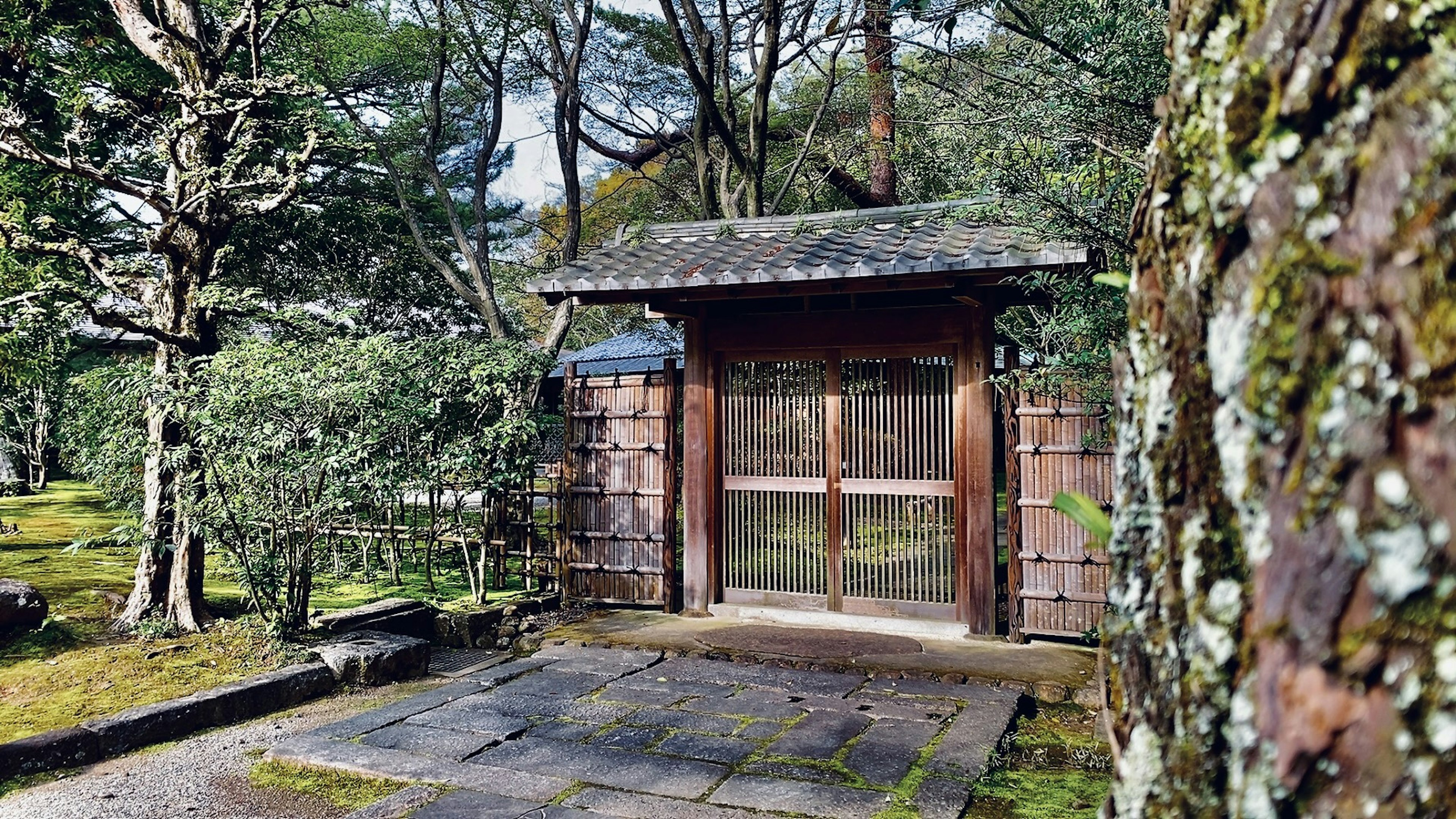 Wooden gate in a tranquil garden with stone pathway