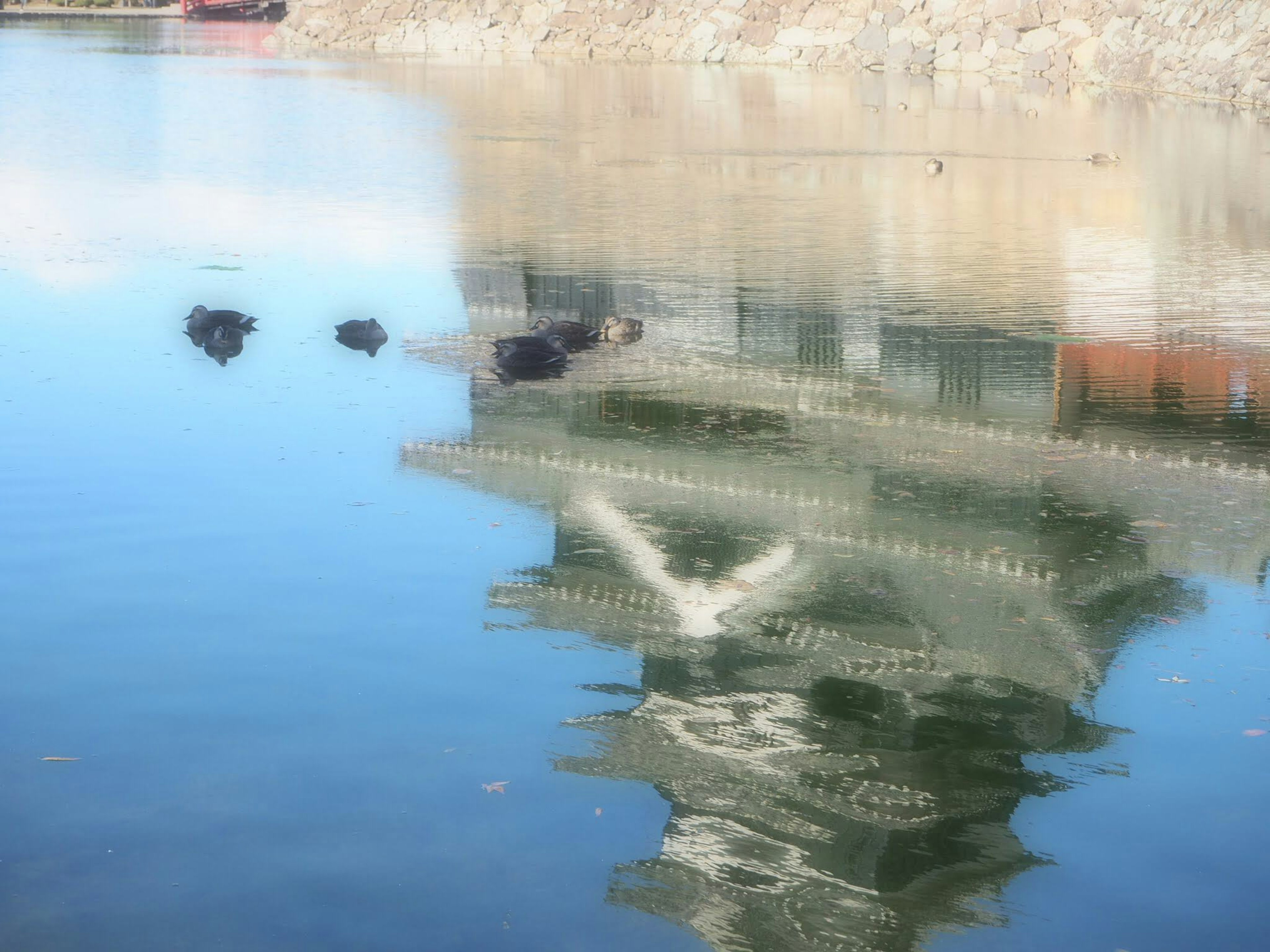 Refleksi bangunan di atas air dengan batu-batu di sekitarnya