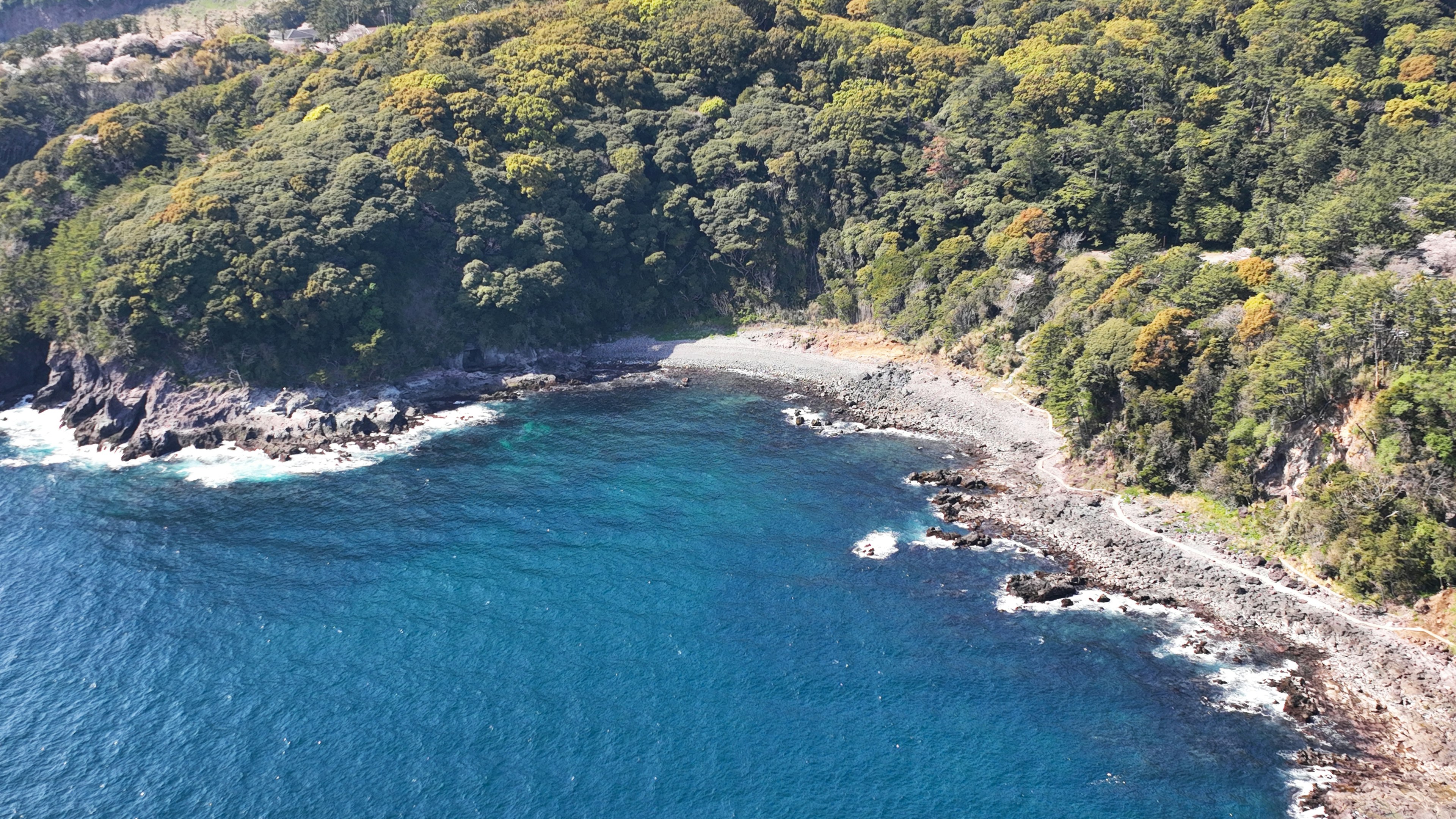 Scenic coastal view featuring blue waters and lush green forest