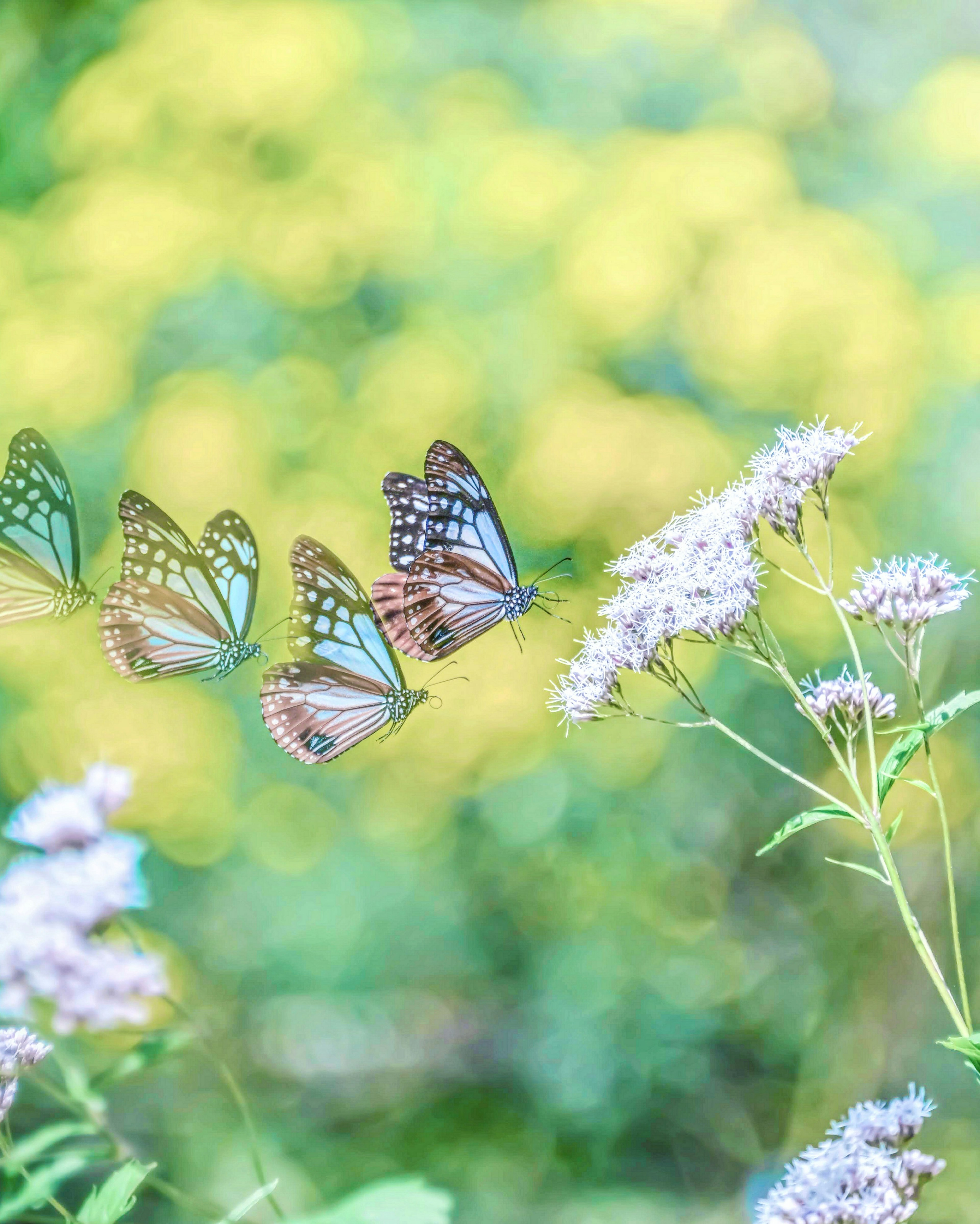 Mariposas azules volando alrededor de flores en un paisaje de colores suaves