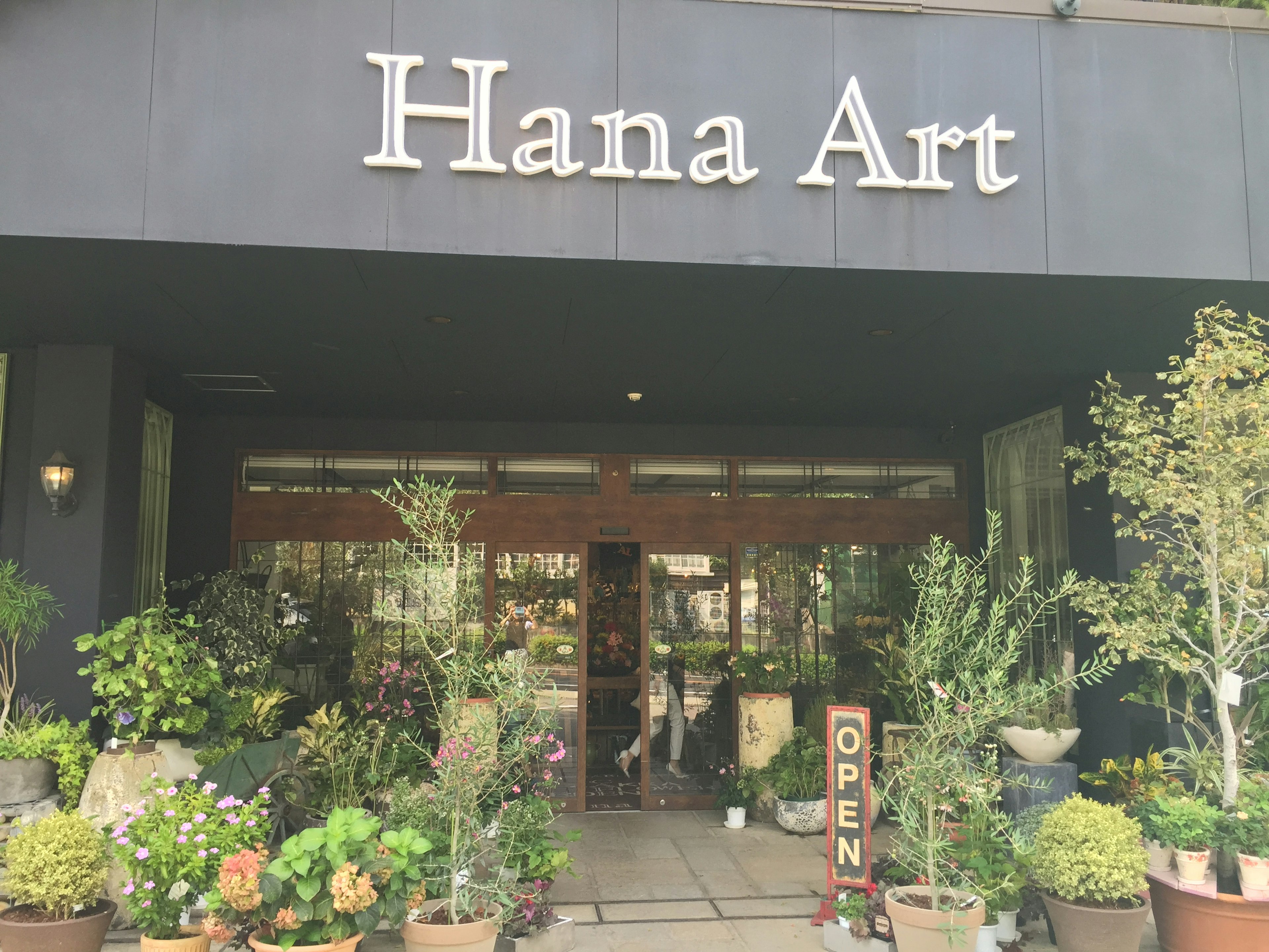 Exterior de la tienda Hana Art con abundantes plantas y flores en la entrada