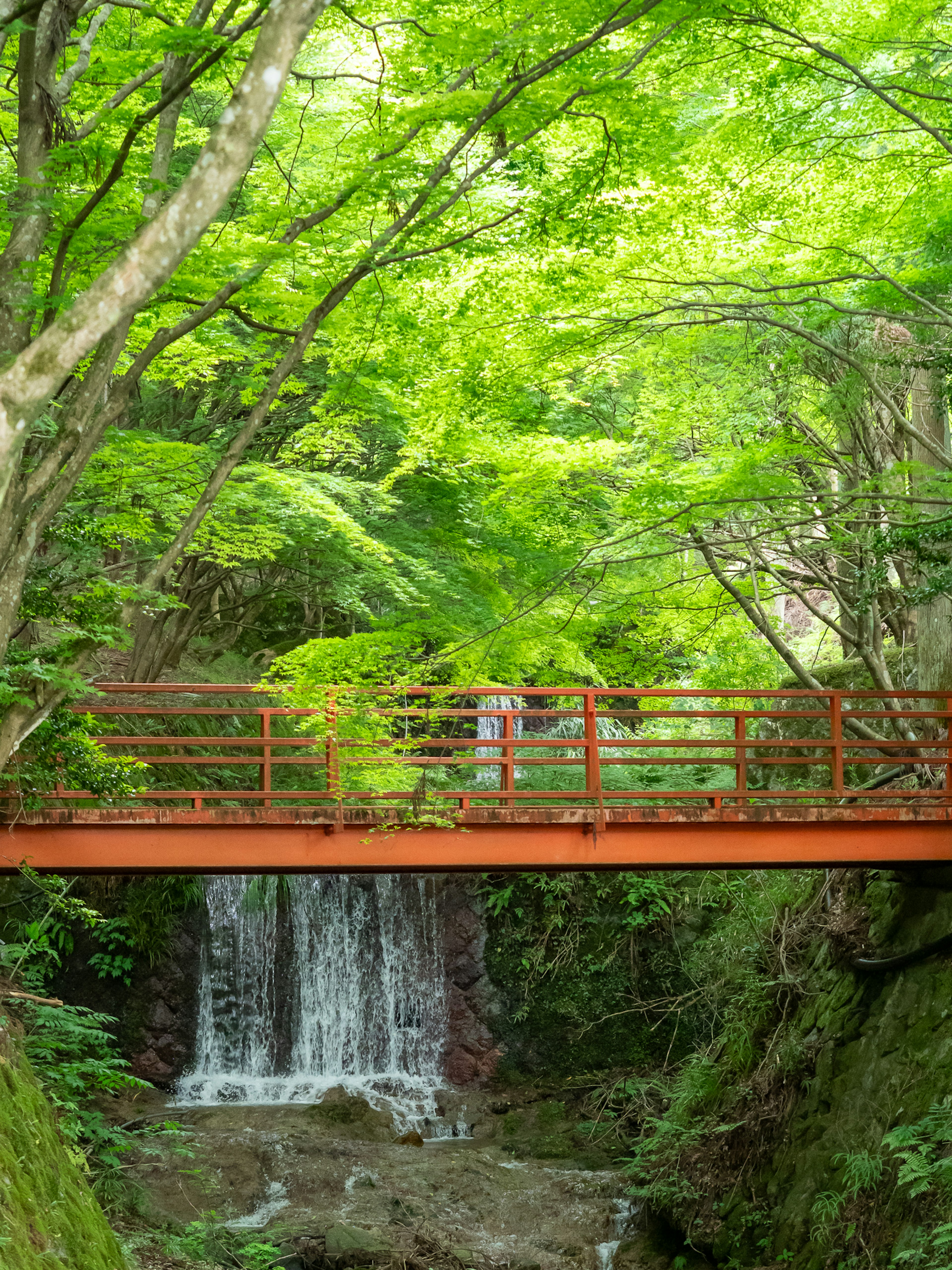 Un pont rouge entouré d'arbres verts luxuriants et d'une petite cascade