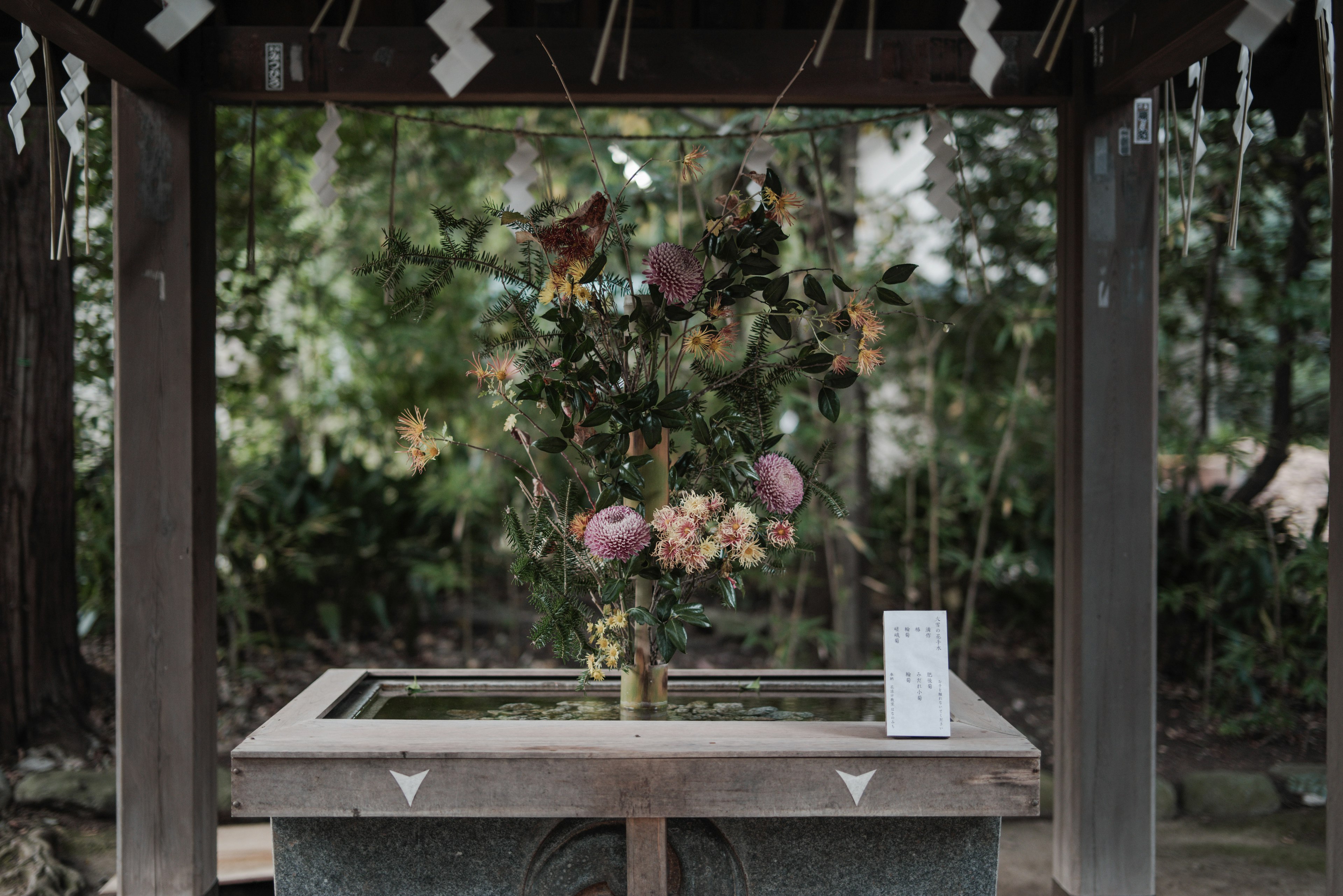 花が生けられた神社の水鉢の写真