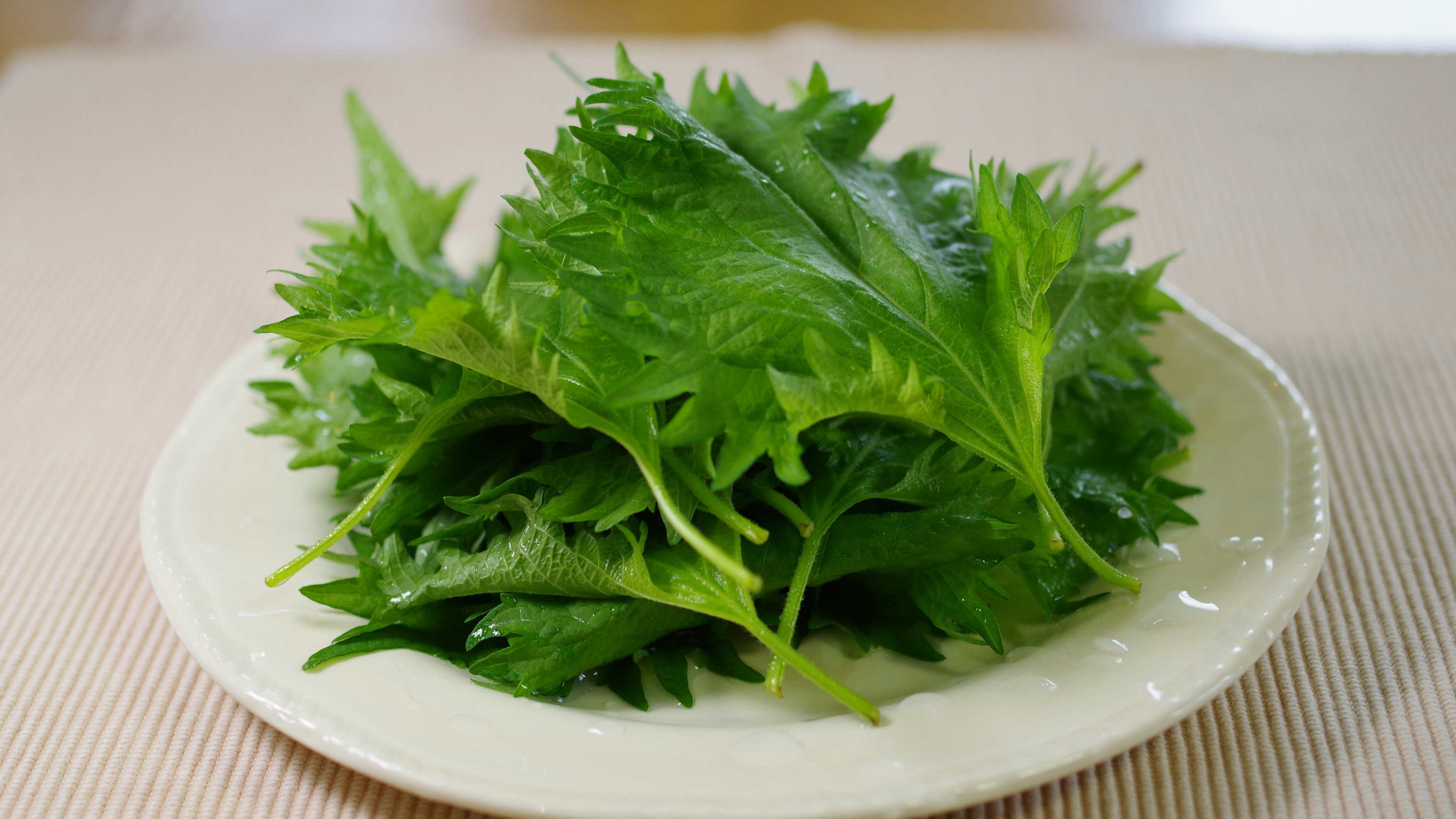 A mound of green leafy vegetables on a white plate