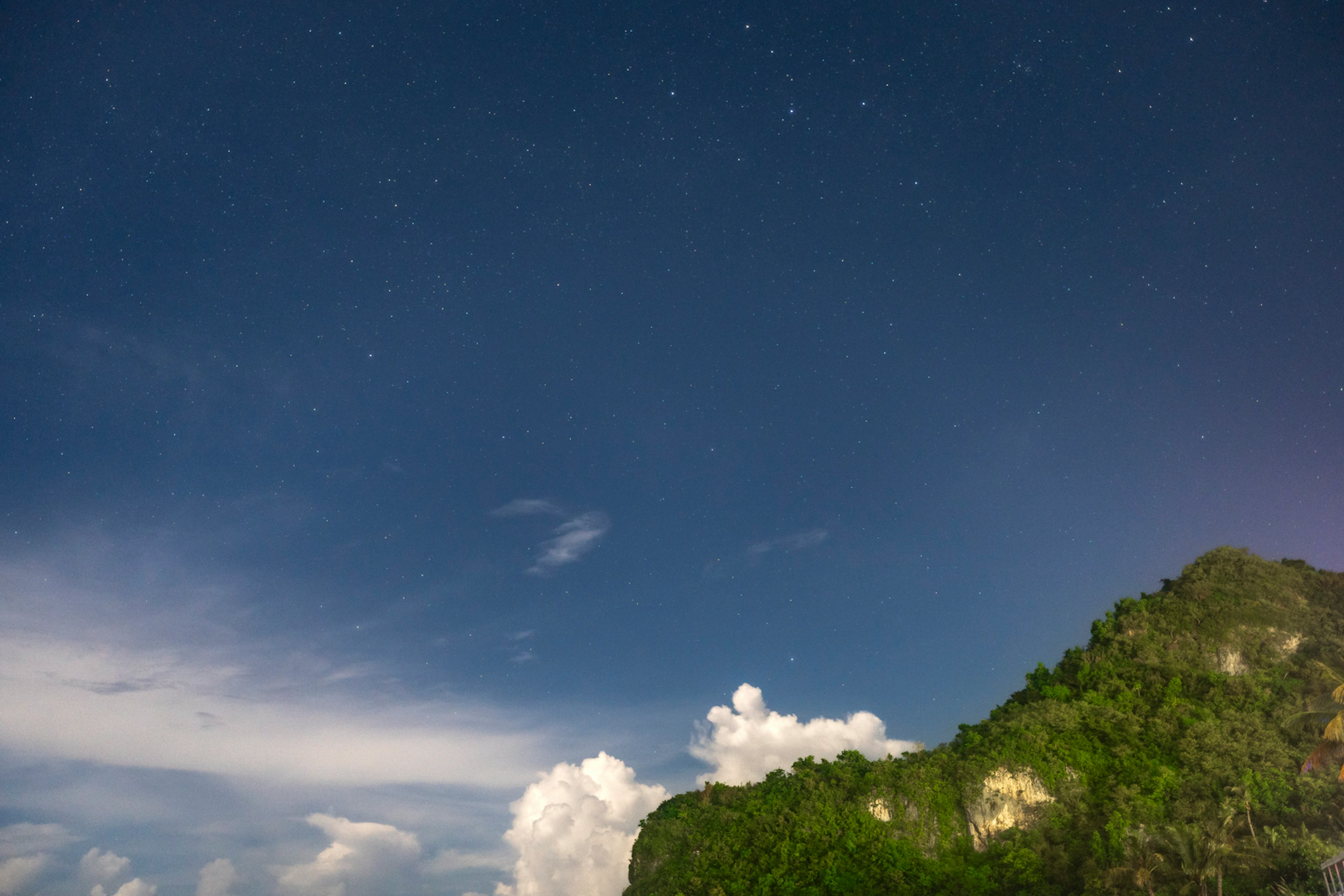 夜空に輝く星々と緑豊かな山の風景