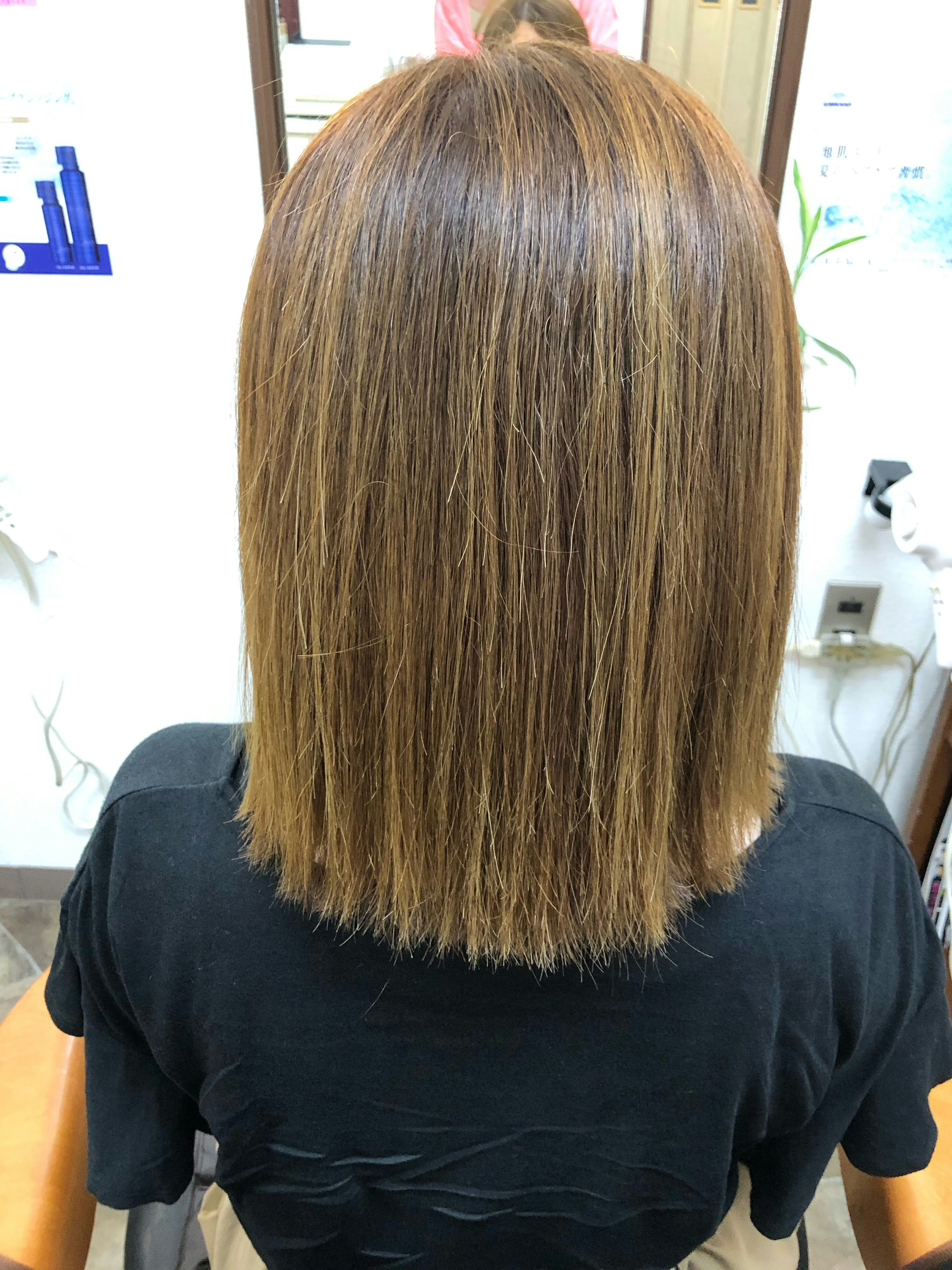 Straight brown hair viewed from the back in a salon setting