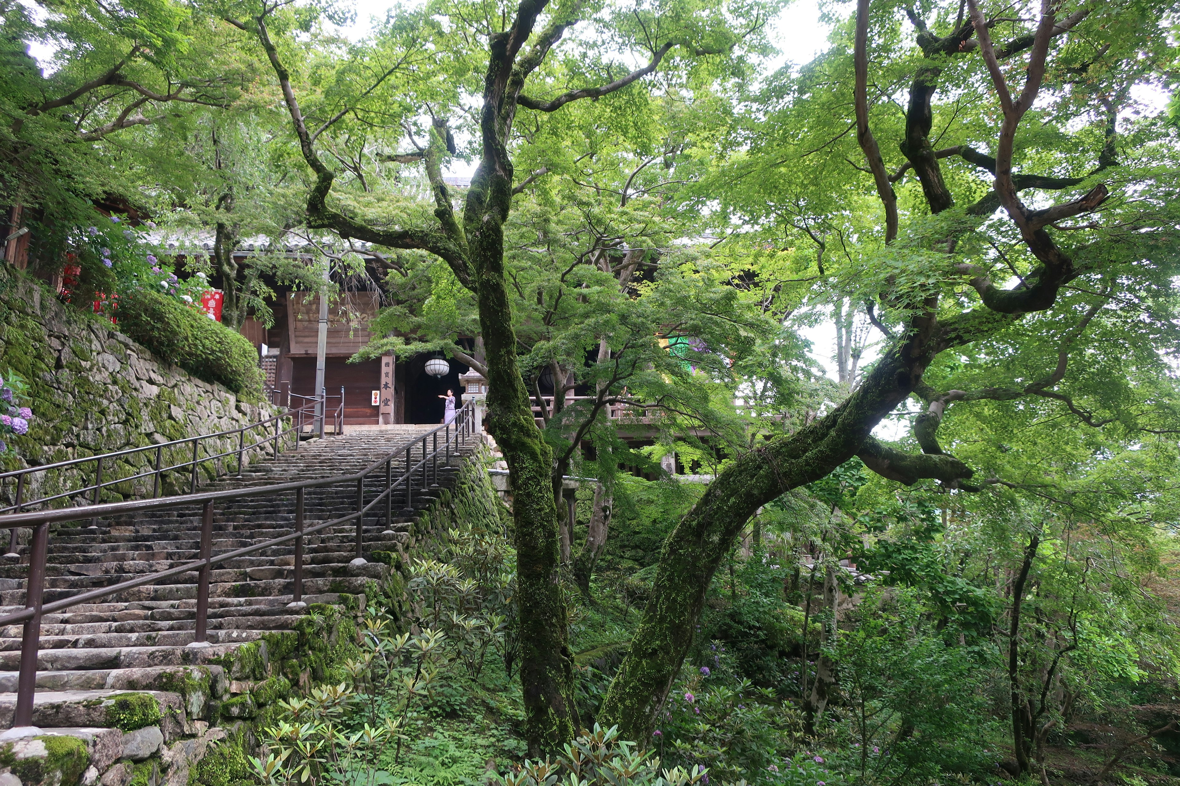 被郁郁蔥蔥的綠色包圍的傳統建築前的石階風景