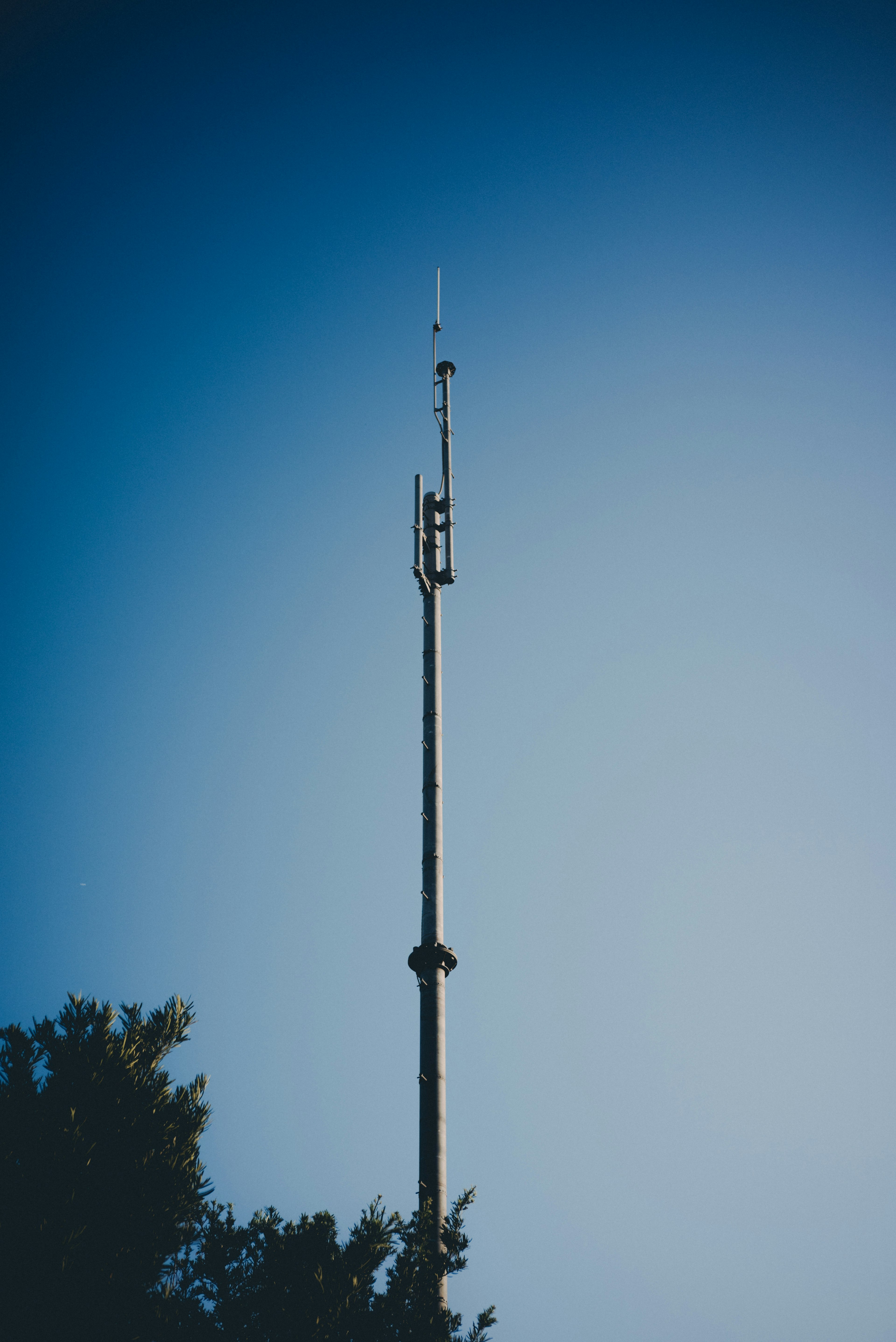 Silhouette of a communication tower against a blue sky with surrounding trees