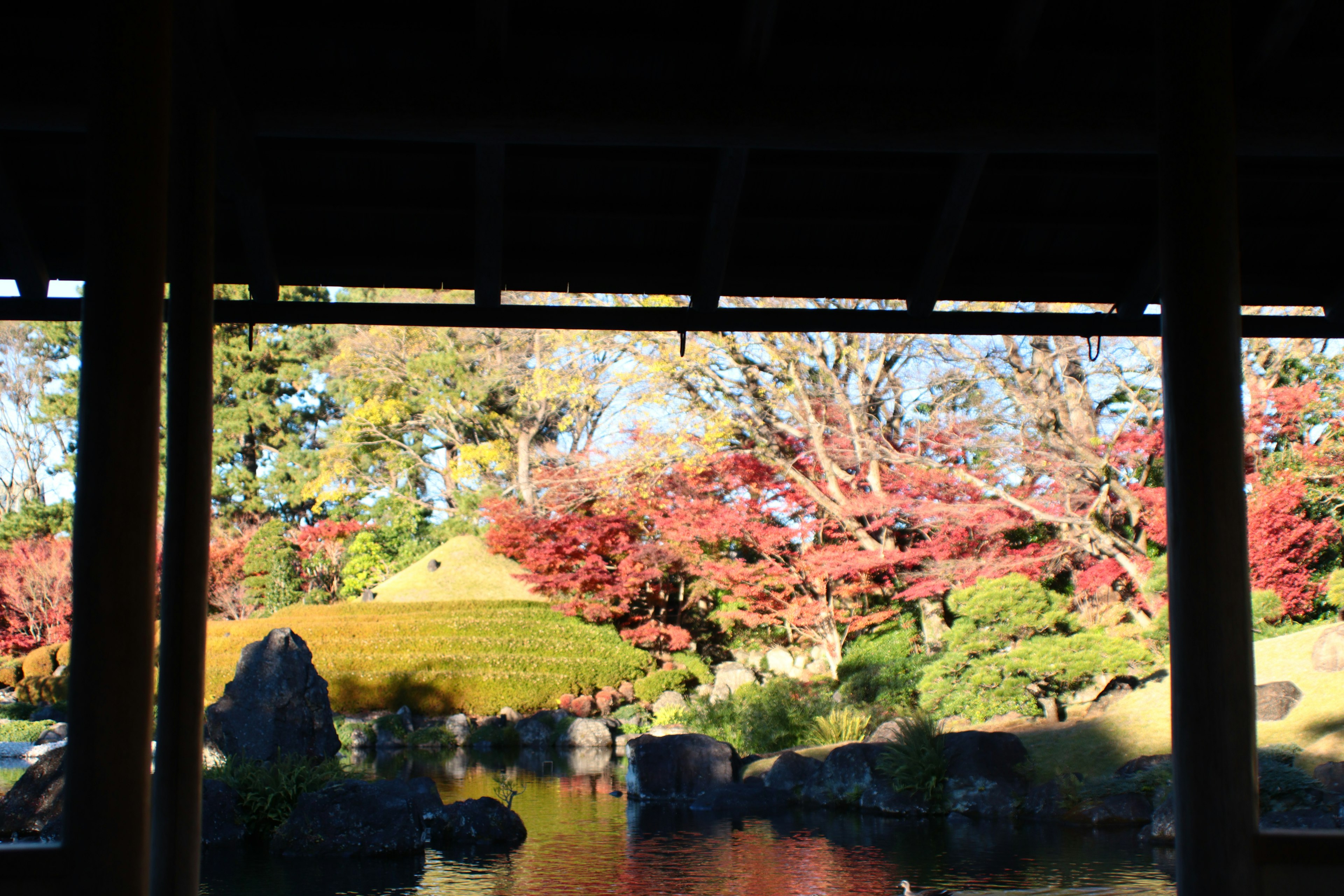 Vista escénica de un jardín japonés con un follaje otoñal vibrante y un estanque tranquilo