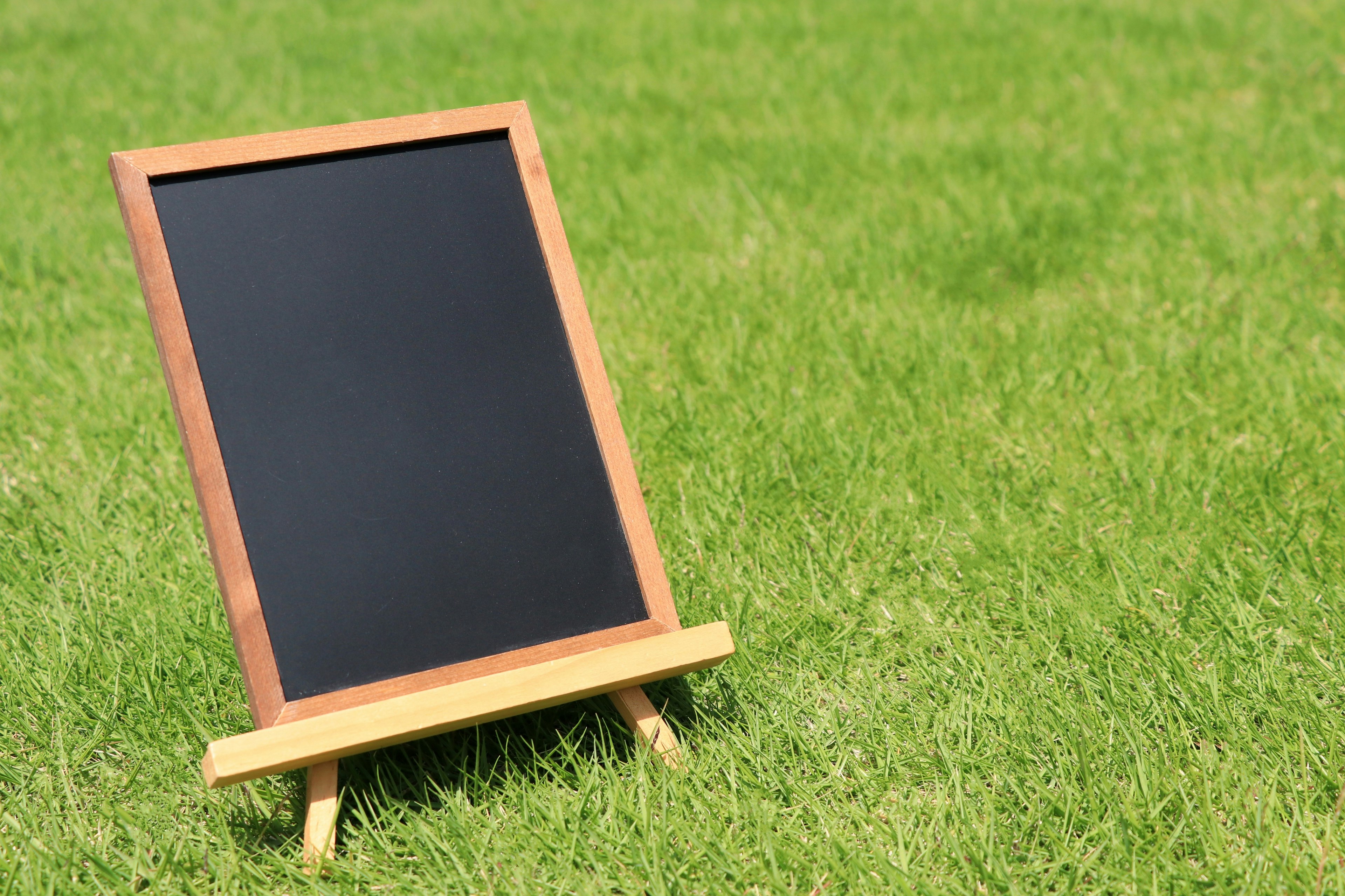 Wooden chalkboard placed on green grass