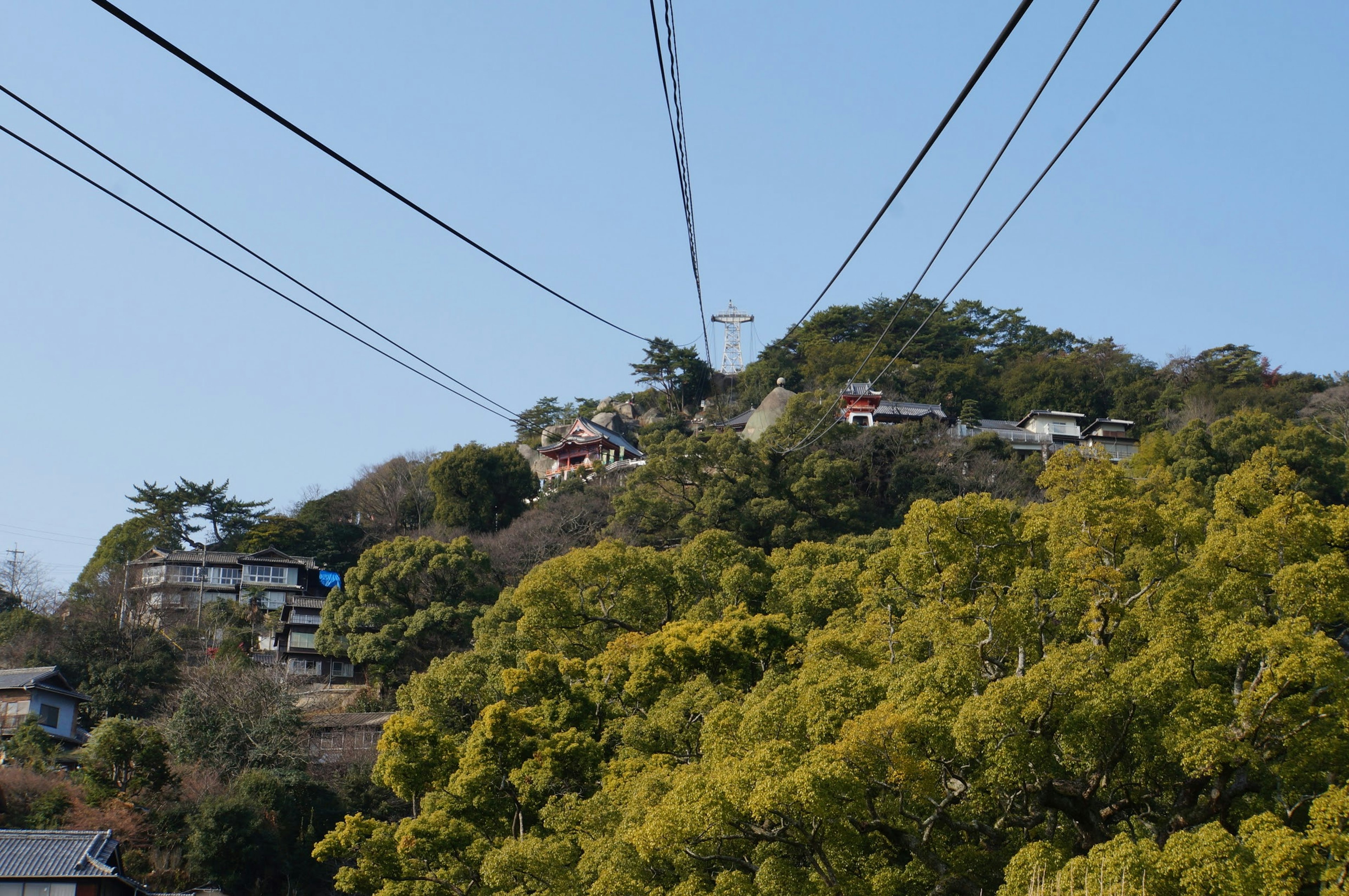 緑豊かな山とその上にある家々の風景 電線が交差する空の下で