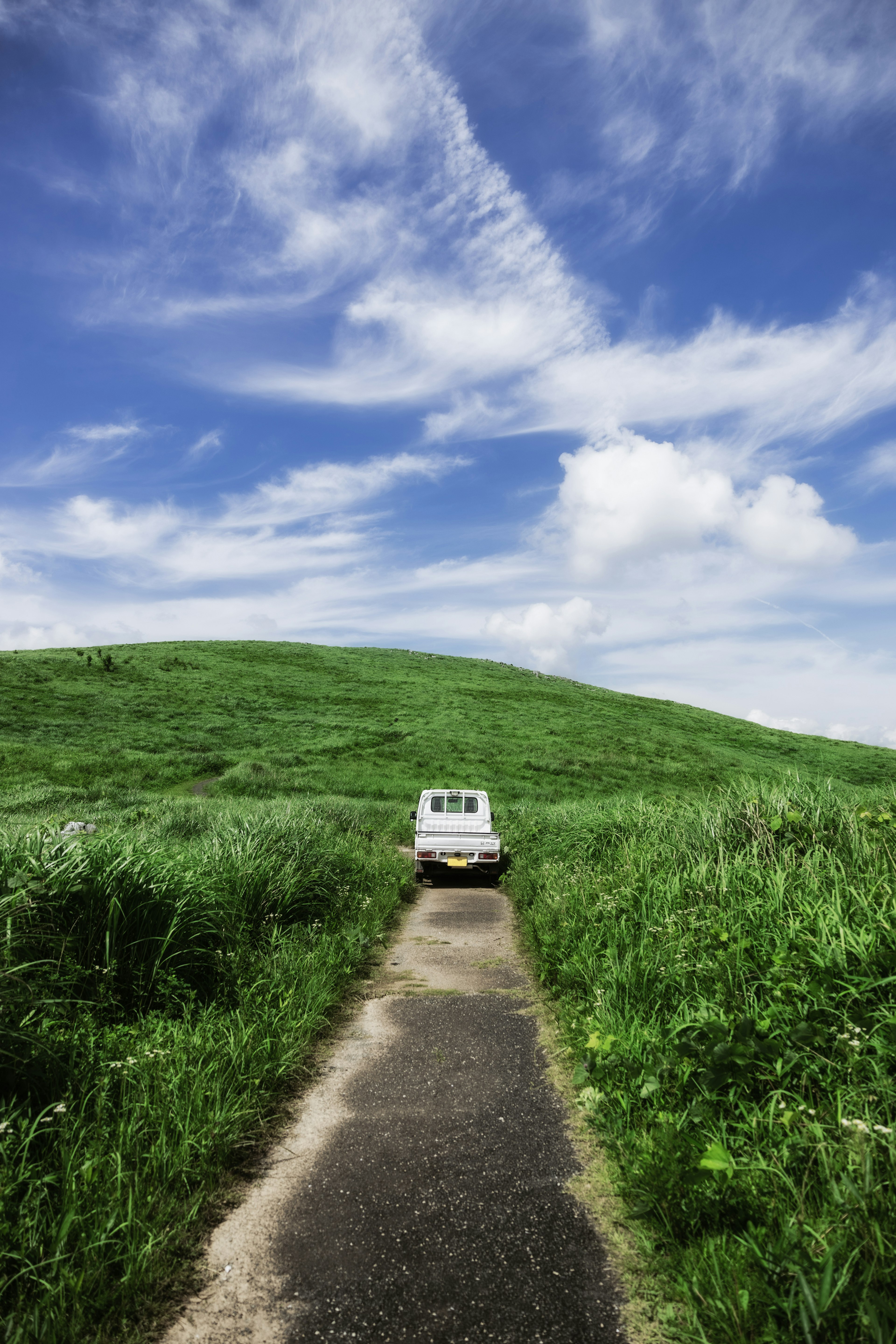 青い空と草原の道を進む車の風景