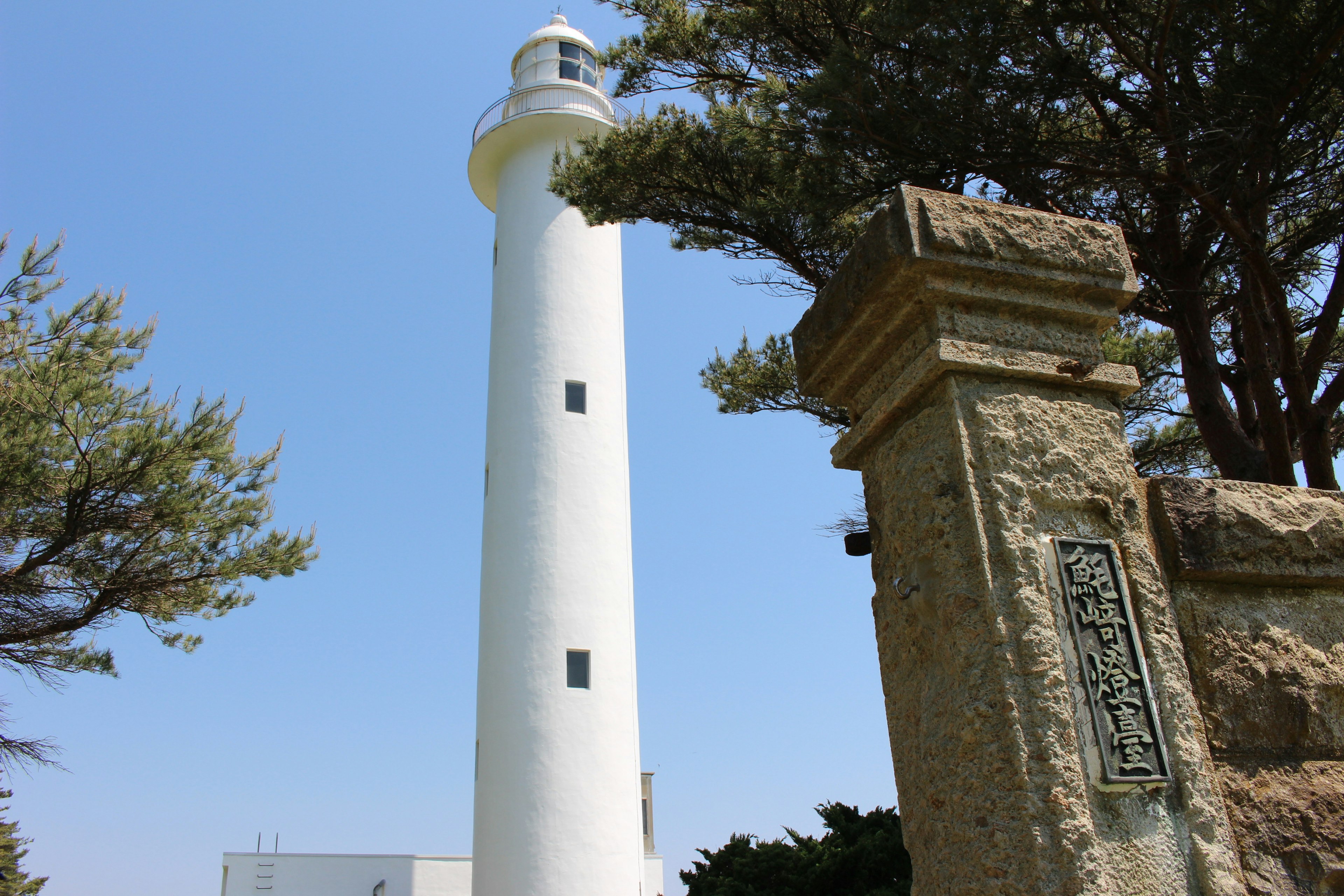 Weißer Leuchtturm umgeben von grünen Bäumen