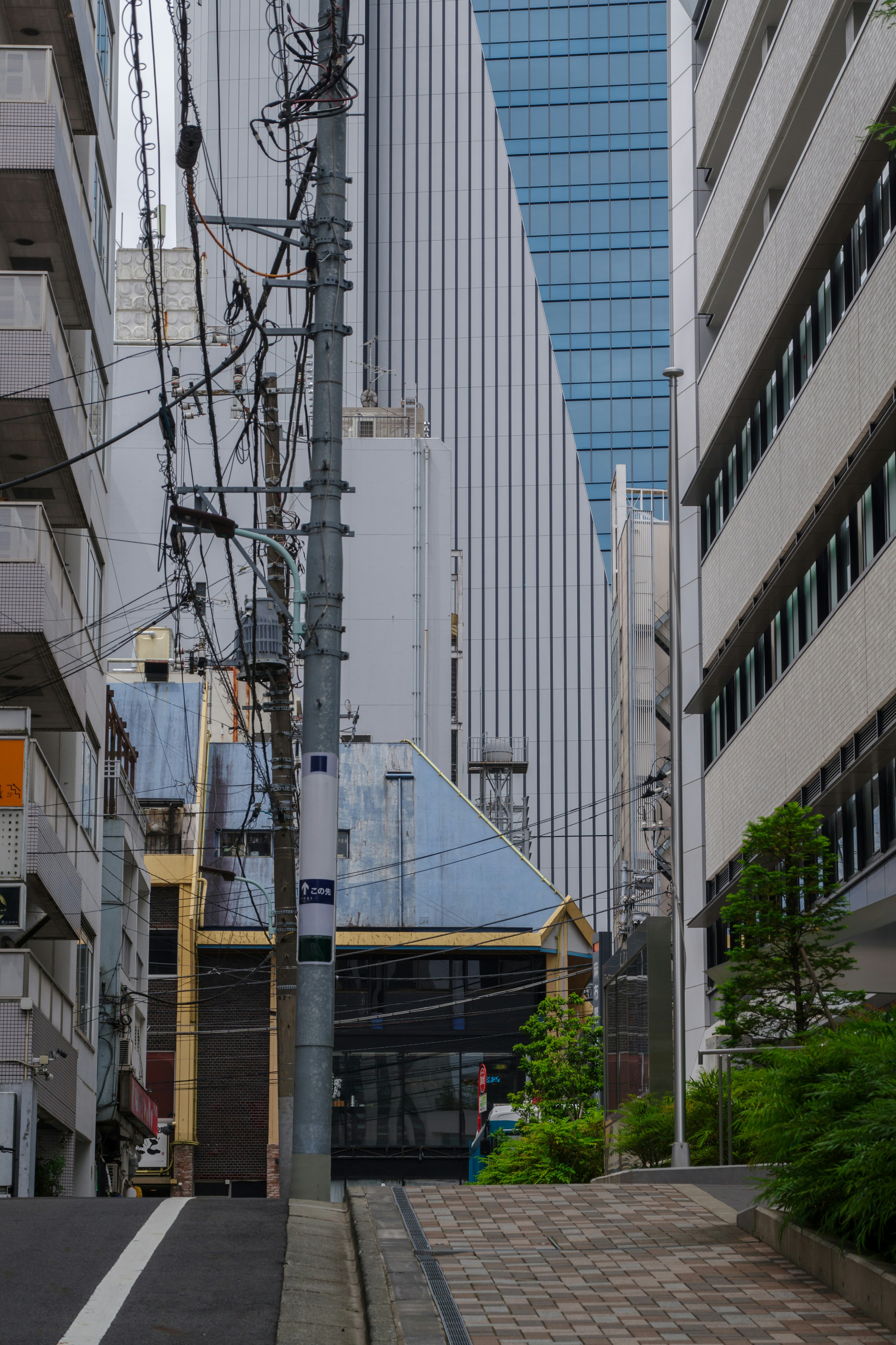 狭い通りに面した高層ビルと電柱の景色