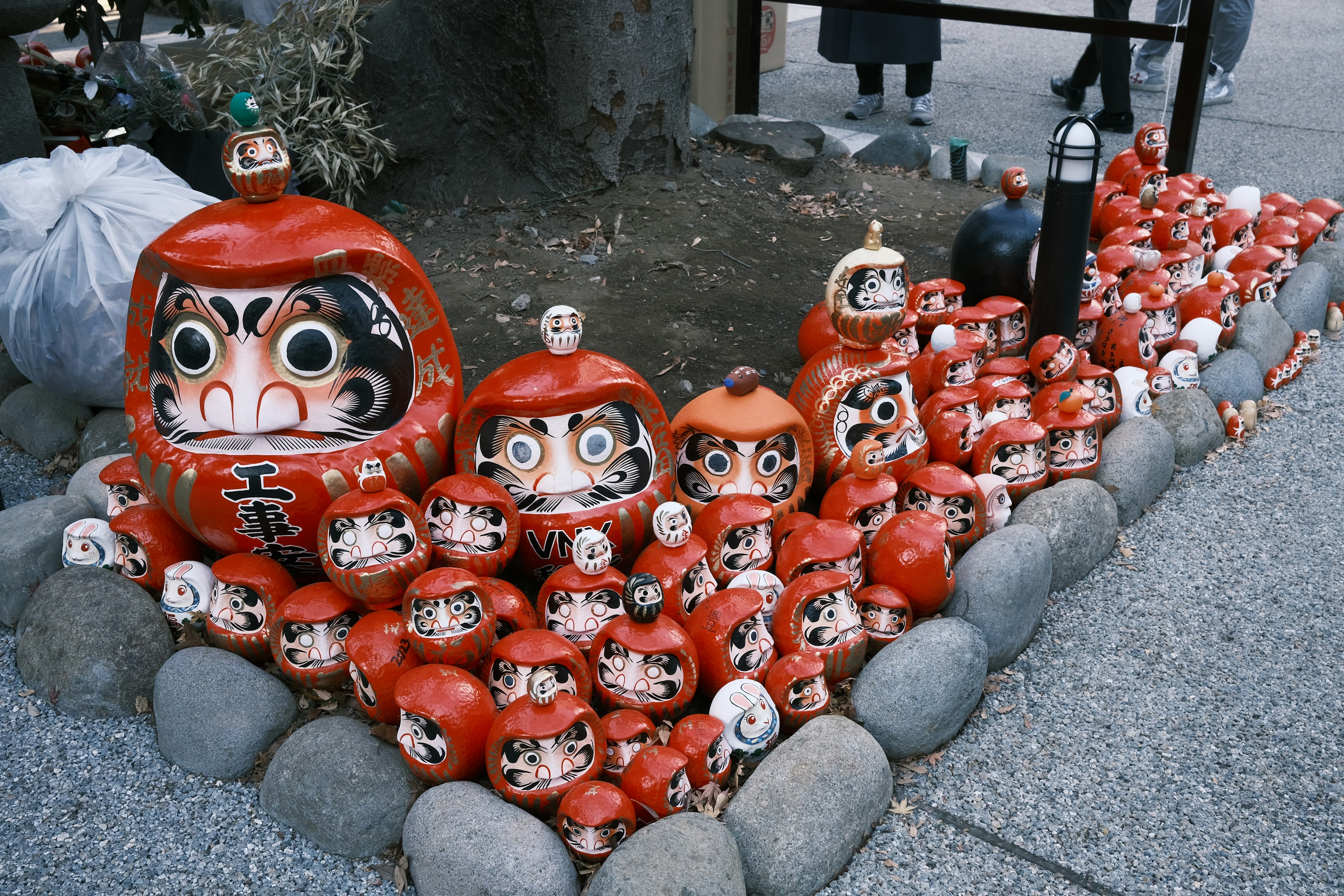 A collection of red Daruma dolls displayed in a row