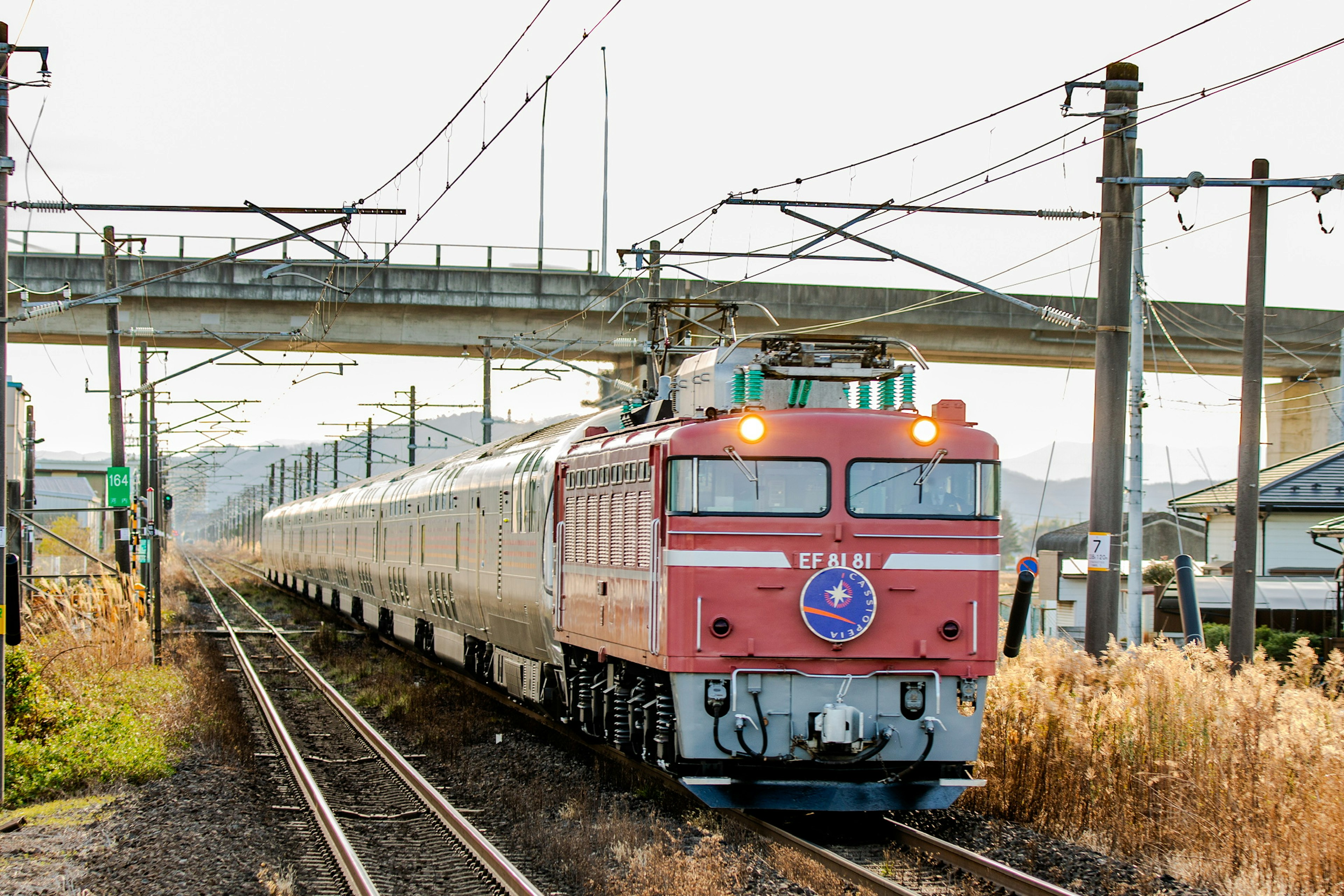 Rote Lokomotive zieht einen langen Zug auf Gleisen